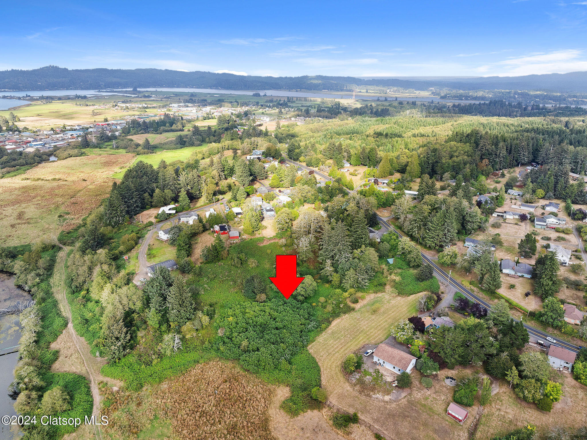 Vl Adj To 91906 Lewis & Clark Road Property Photo 5