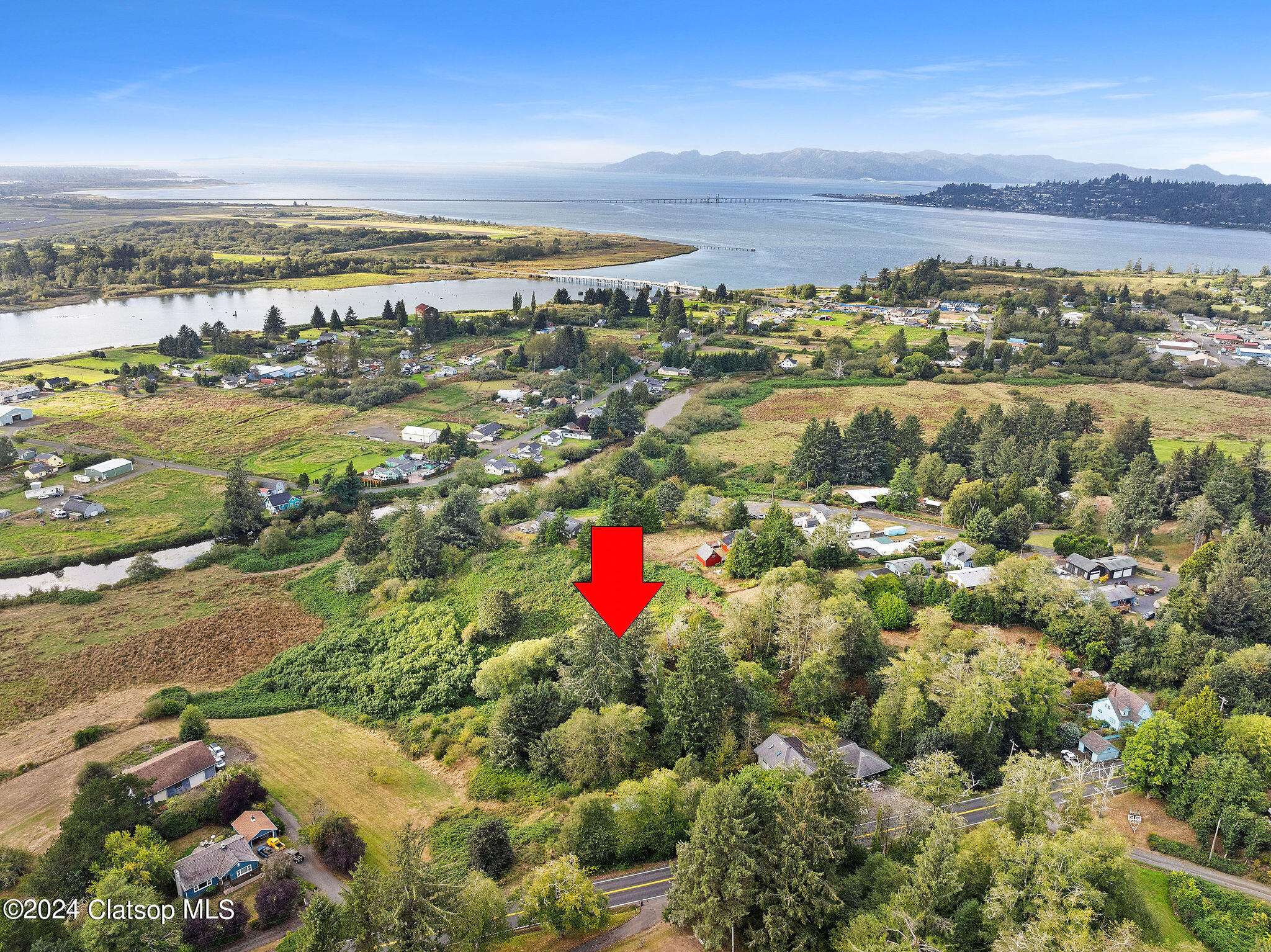 Vl Adj To 91906 Lewis & Clark Road Property Photo 7