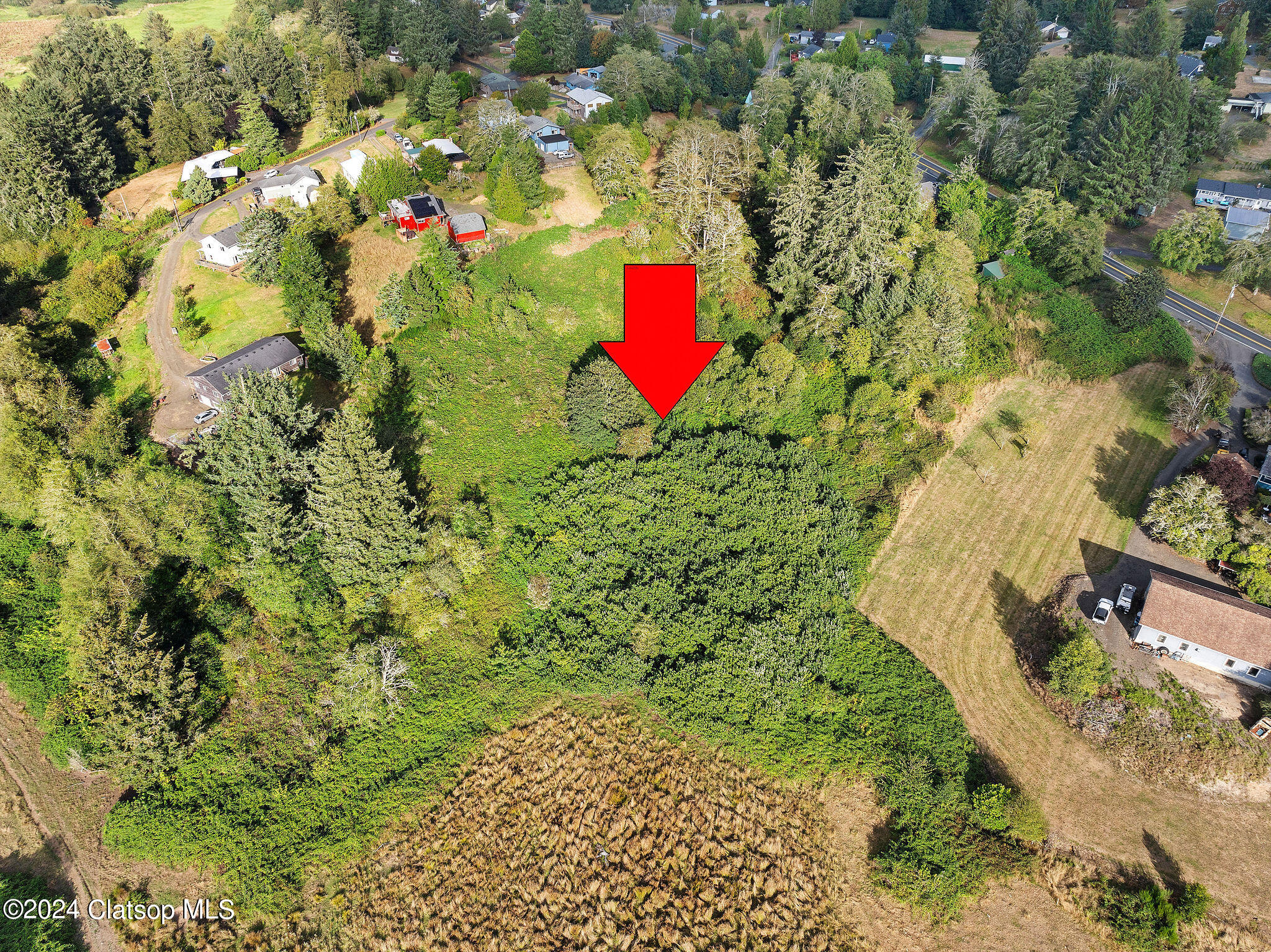 Vl Adj To 91906 Lewis & Clark Road Property Photo 10