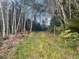 Lot 300 Raghorn Road Property Photo 1