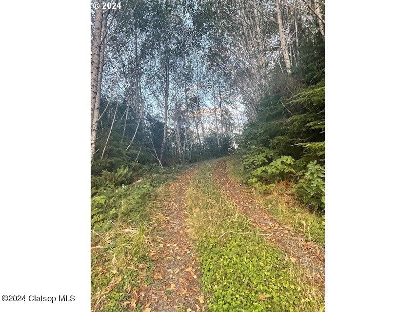 Lot 300 Raghorn Road Property Photo 2