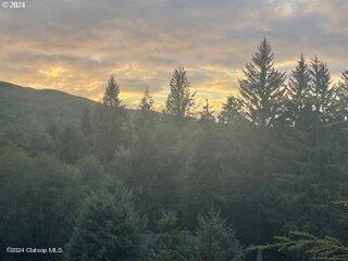 Lot 300 Raghorn Road Property Photo 3