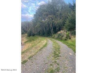 Lot 300 Raghorn Road Property Photo 6