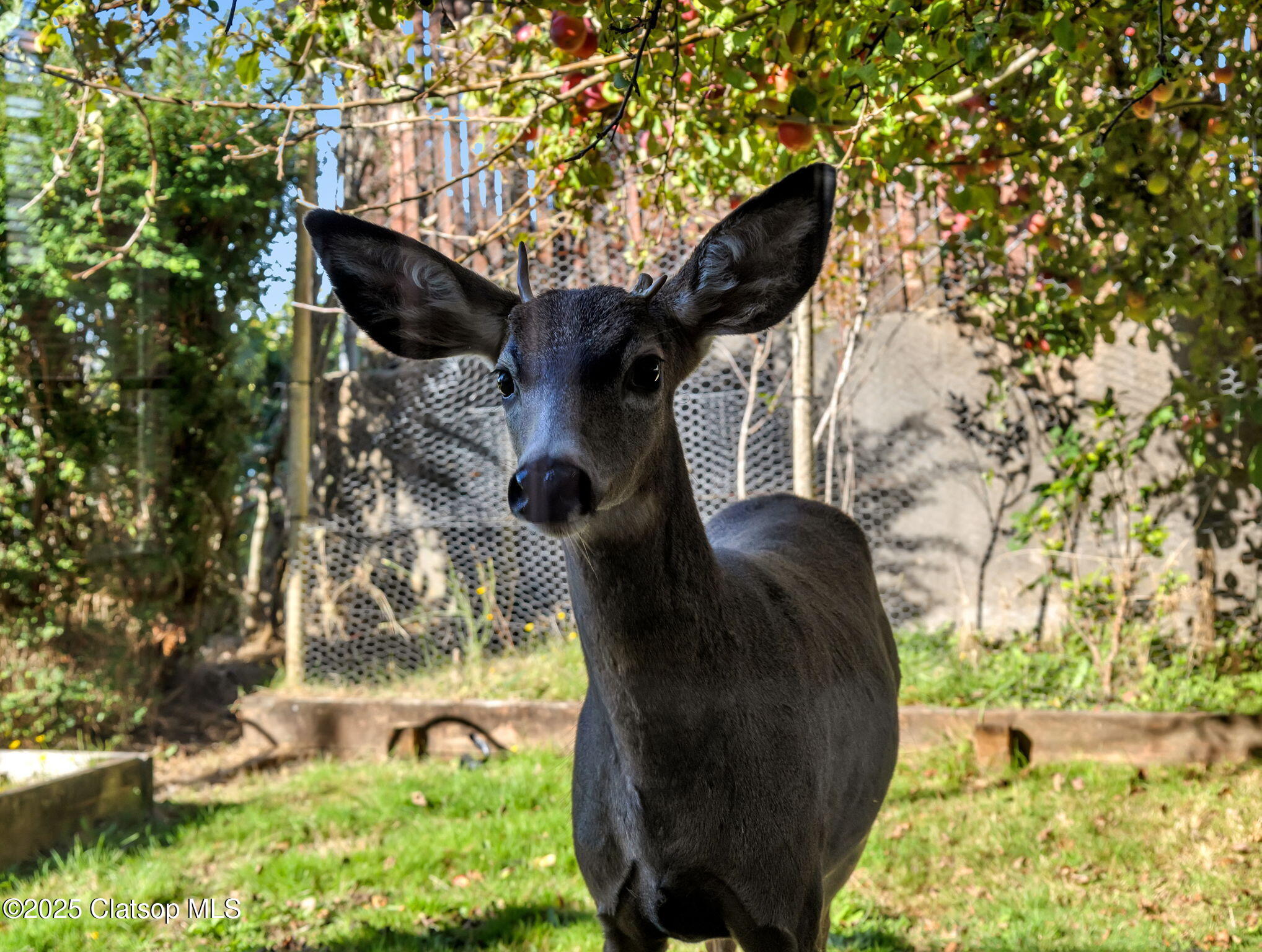 325 W Niagara Avenue Property Photo 50