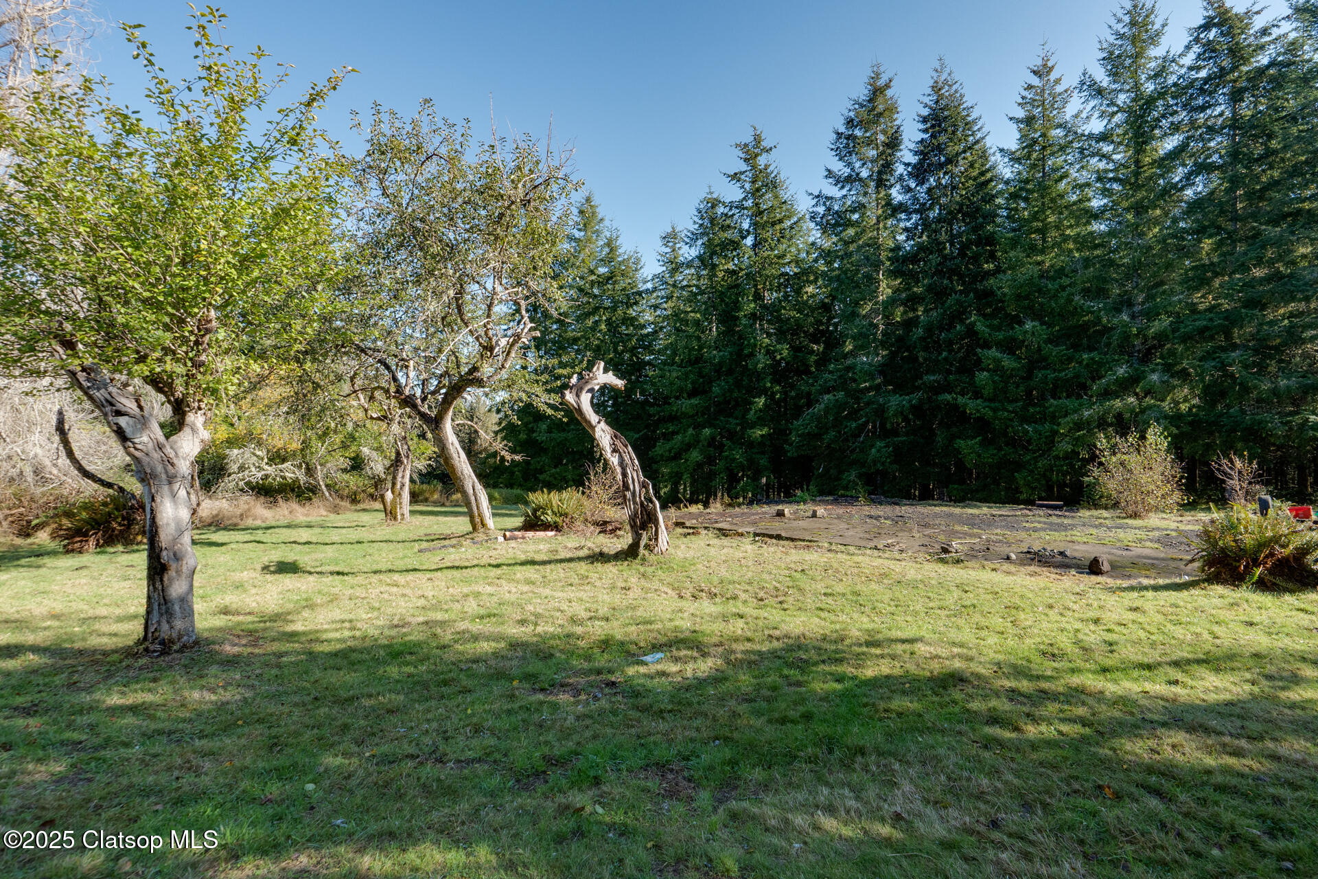 37773 Harrison Lane Property Photo 14