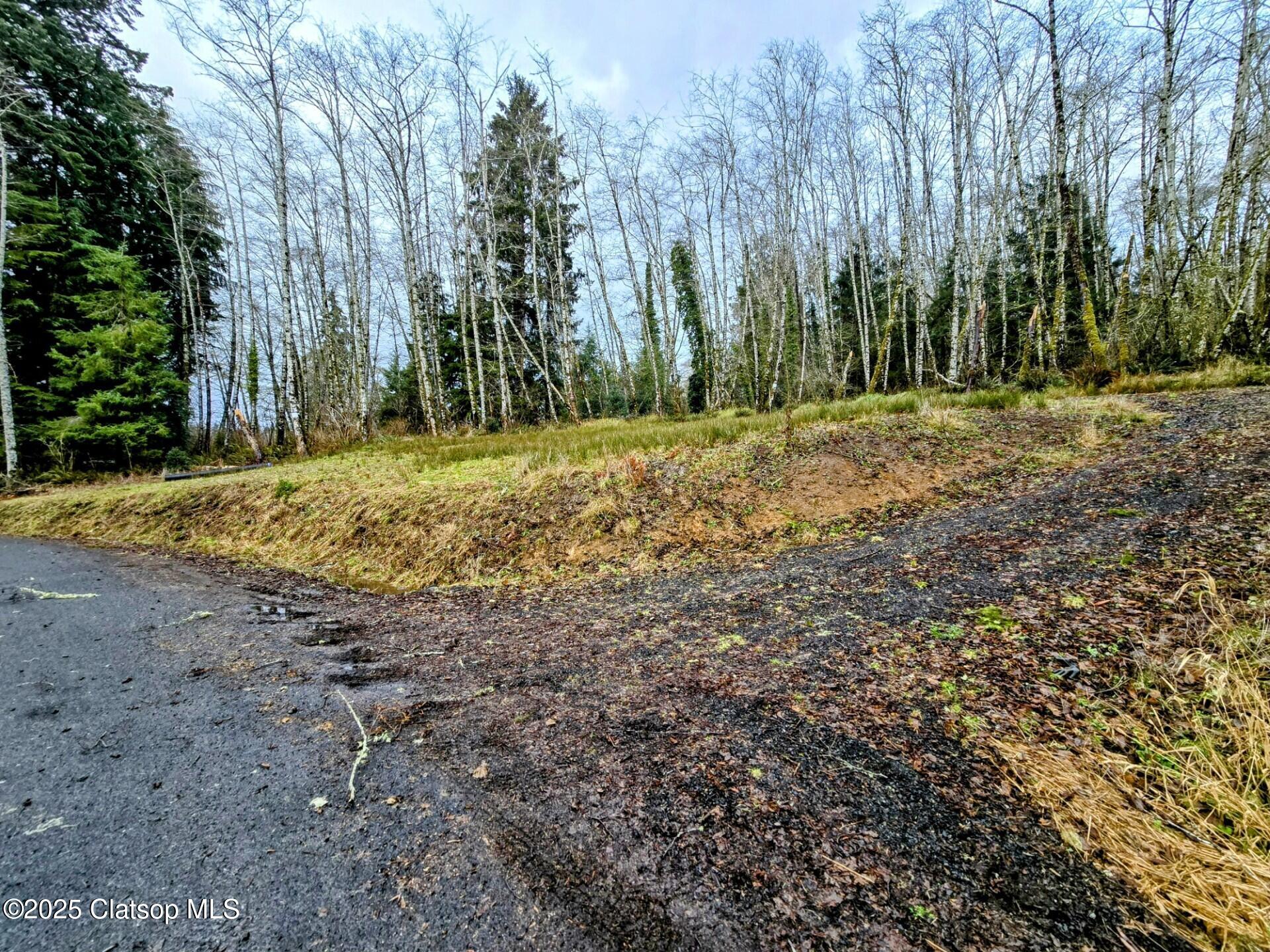 92303 Claremont Road Property Photo 3