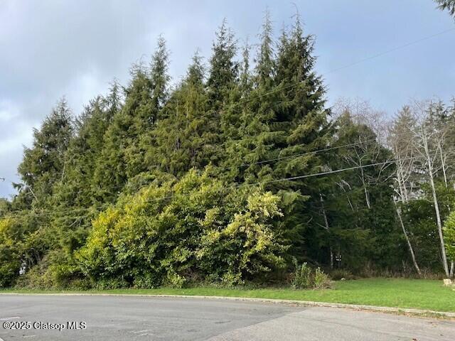 Vacant Alpine Street Property Photo 16