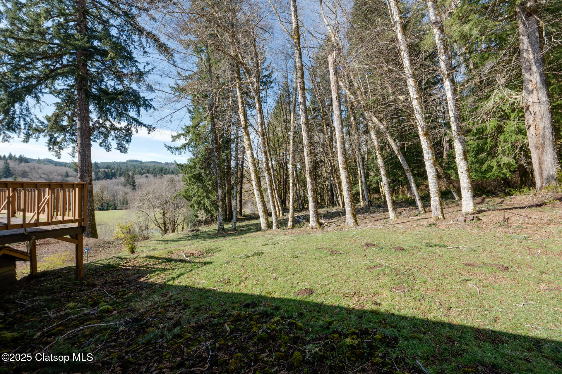 80415 Hwy 202 Property Photo 37