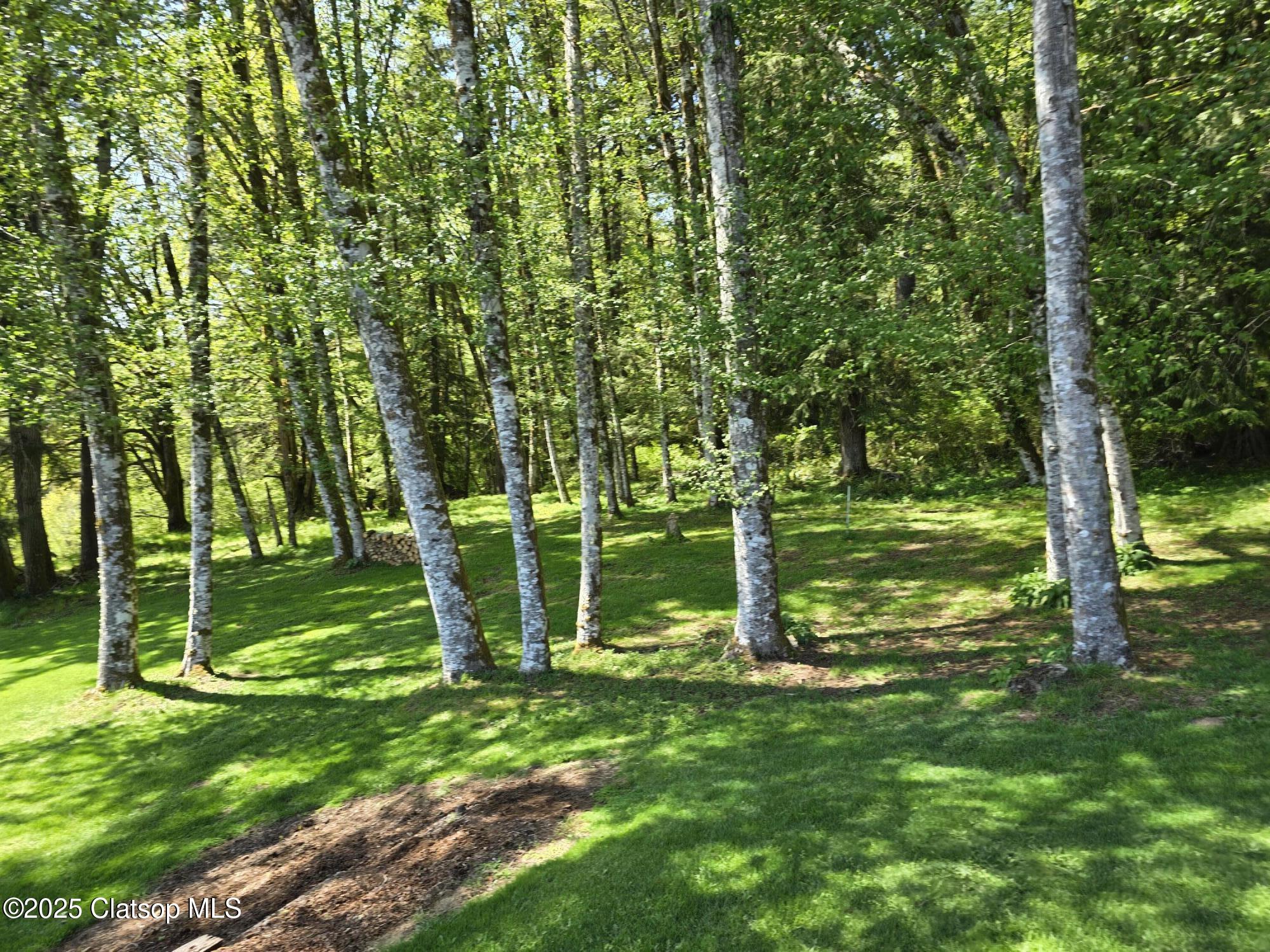 80415 Hwy 202 Property Photo 42