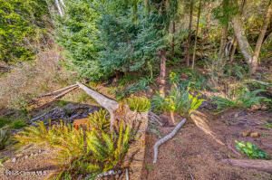 121 Ridgeview Place Property Photo 32