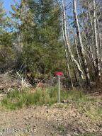 33775 Edler Ln Property Photo