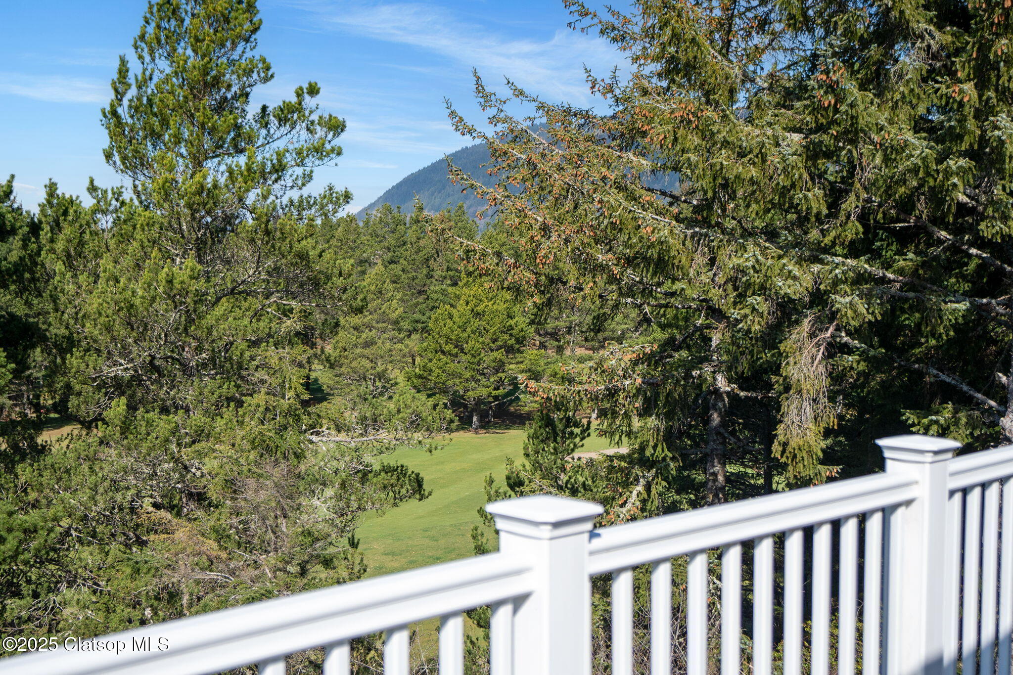 901 Fairway Court Property Photo 24