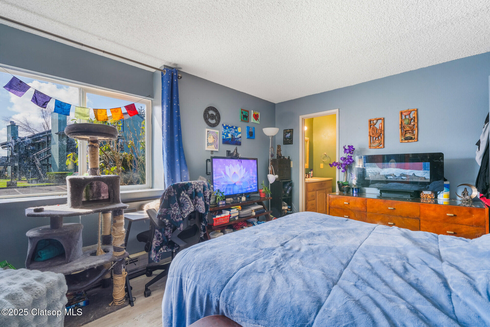 Property Photo 23