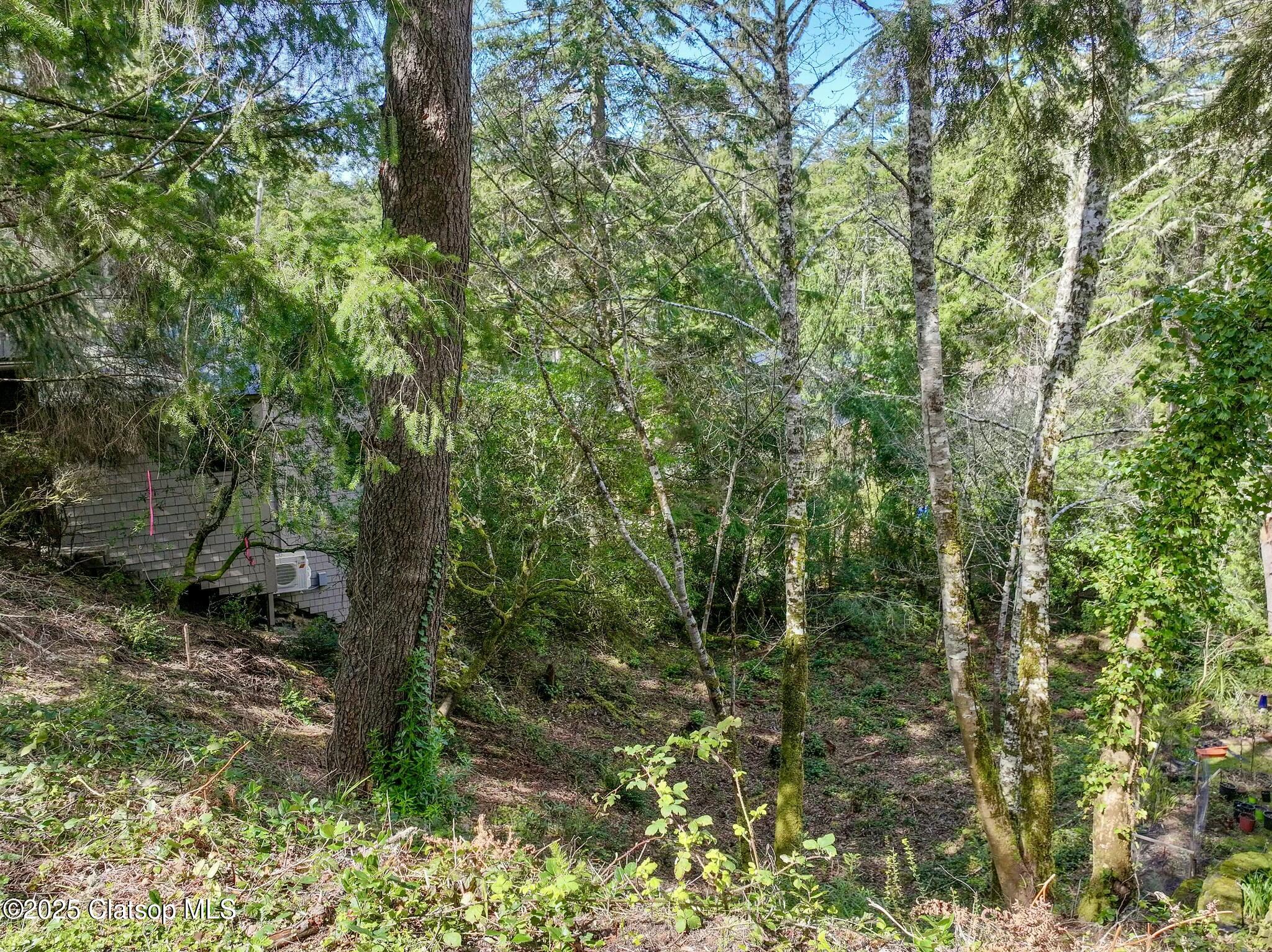 Vl 3300 Madrona St. Property Photo 3