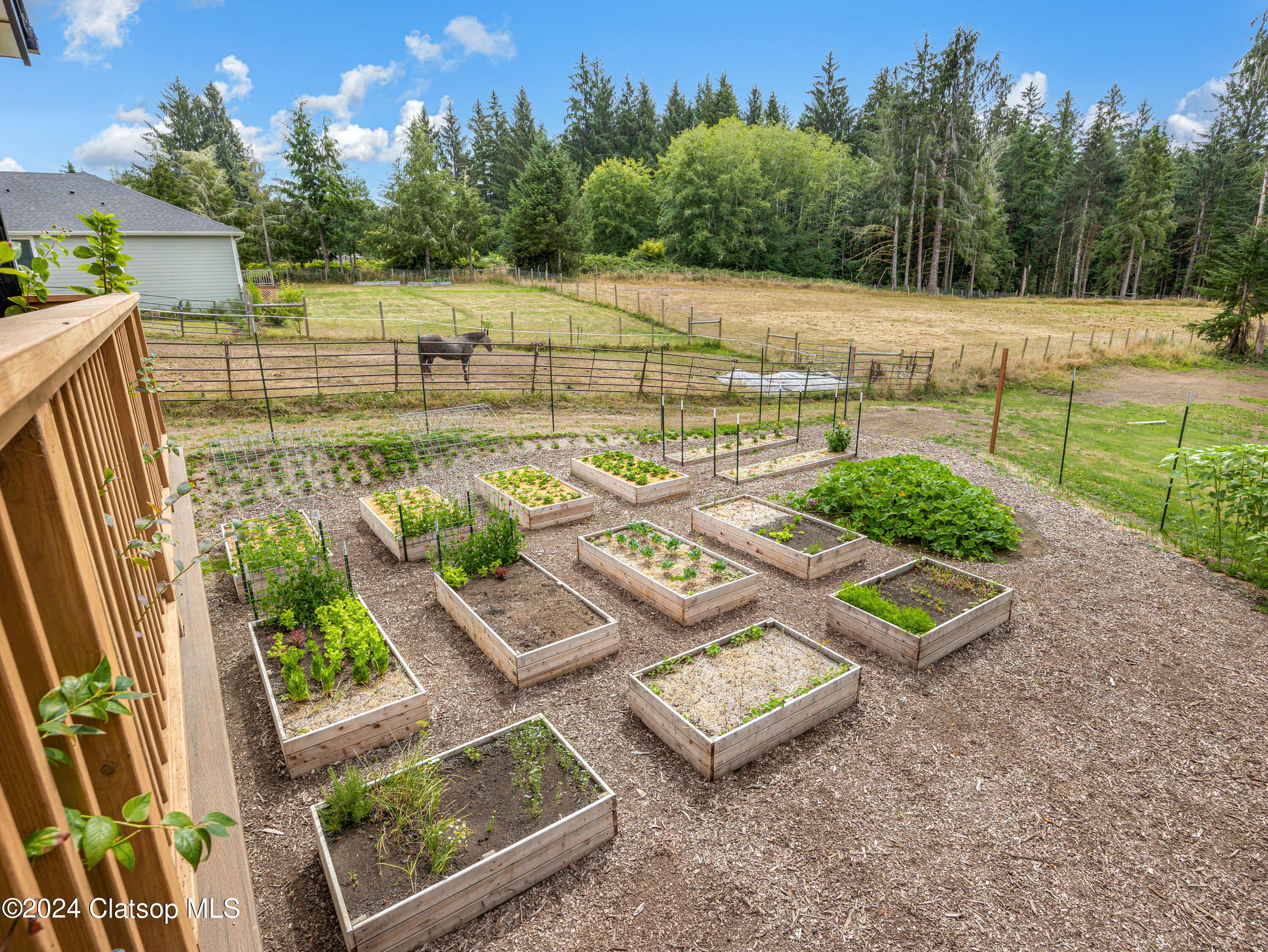 37330 Labiske Lane Property Photo 25
