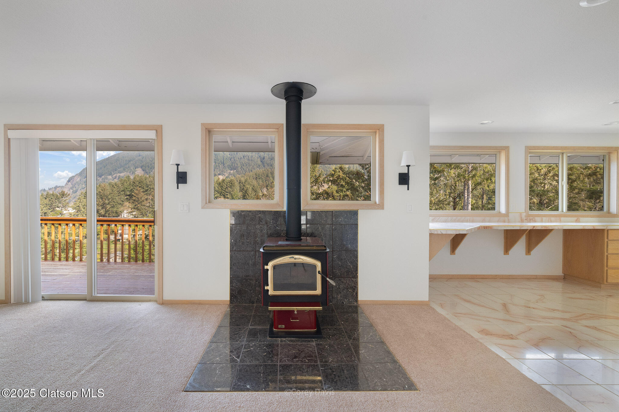 213 University Avenue Property Photo 15