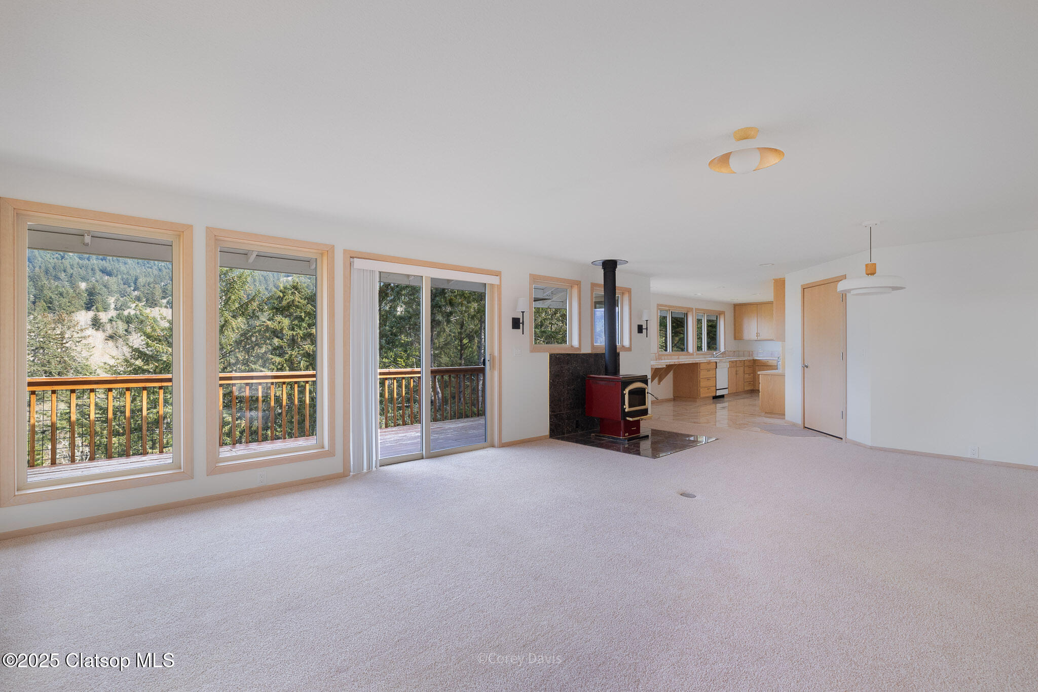 213 University Avenue Property Photo 16