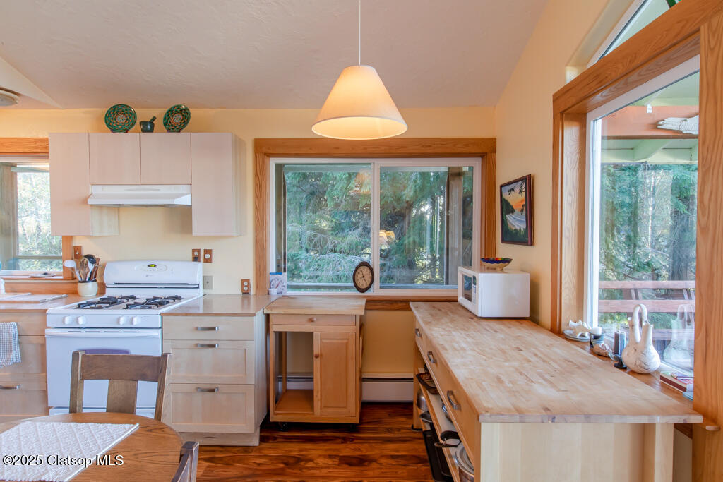 9585 Scenic View Drive Property Photo 13