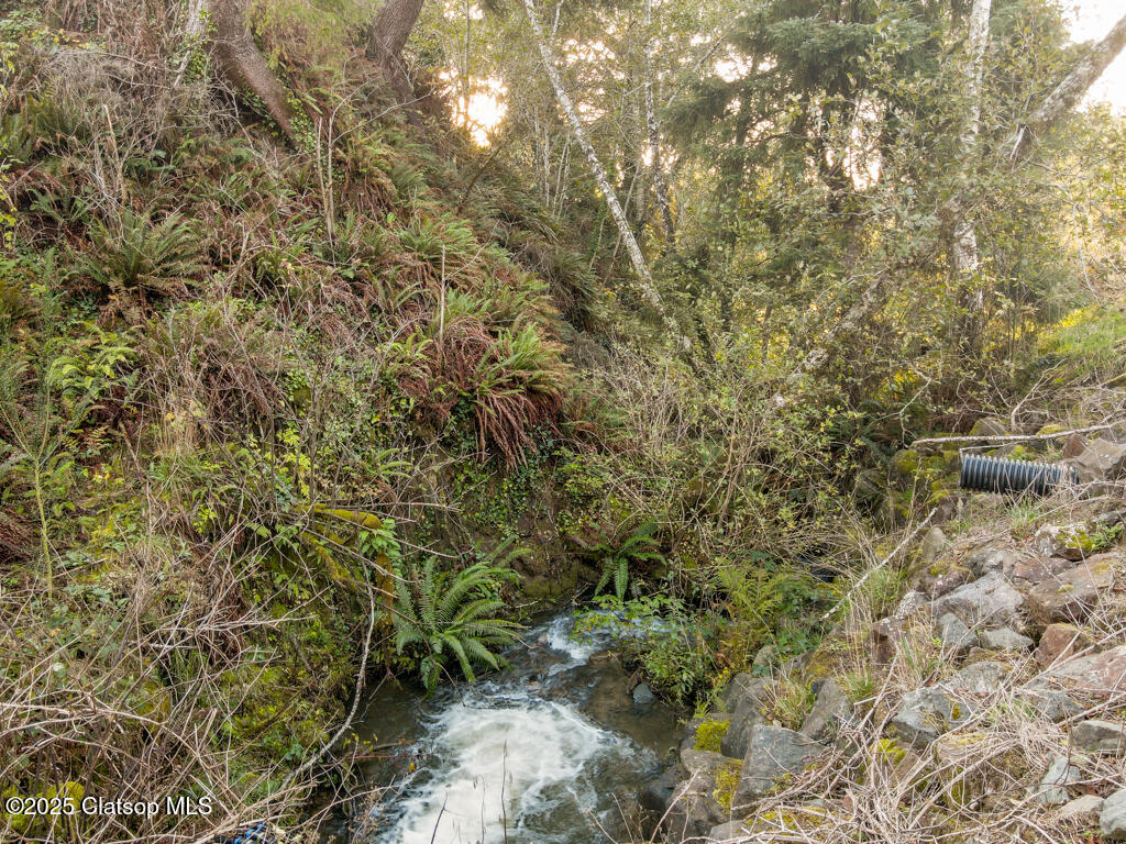 9585 Scenic View Drive Property Photo 34