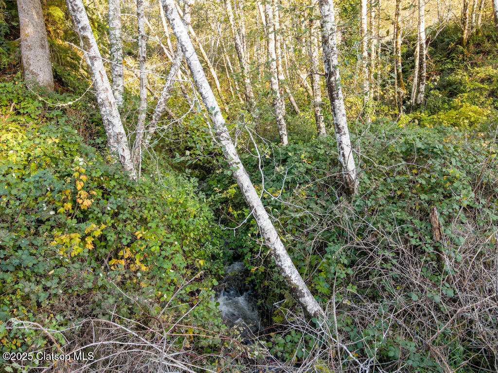 9585 Scenic View Drive Property Photo 35