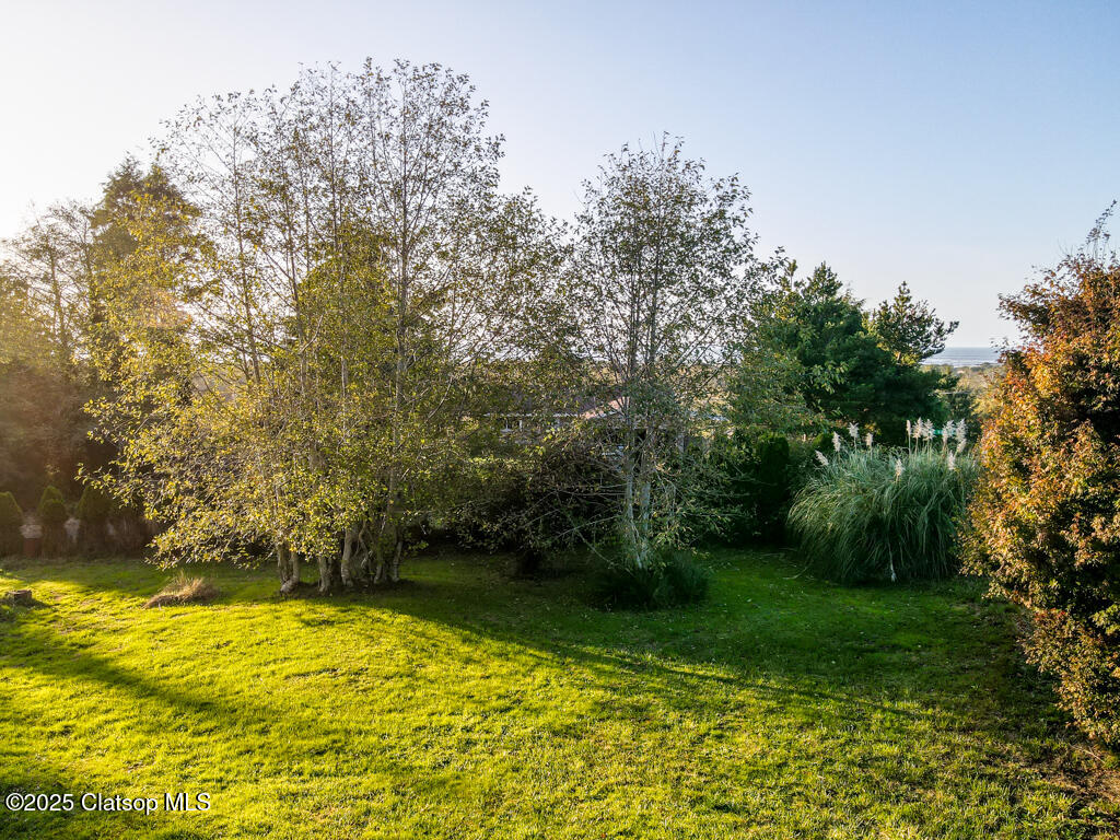 9585 Scenic View Drive Property Photo 36