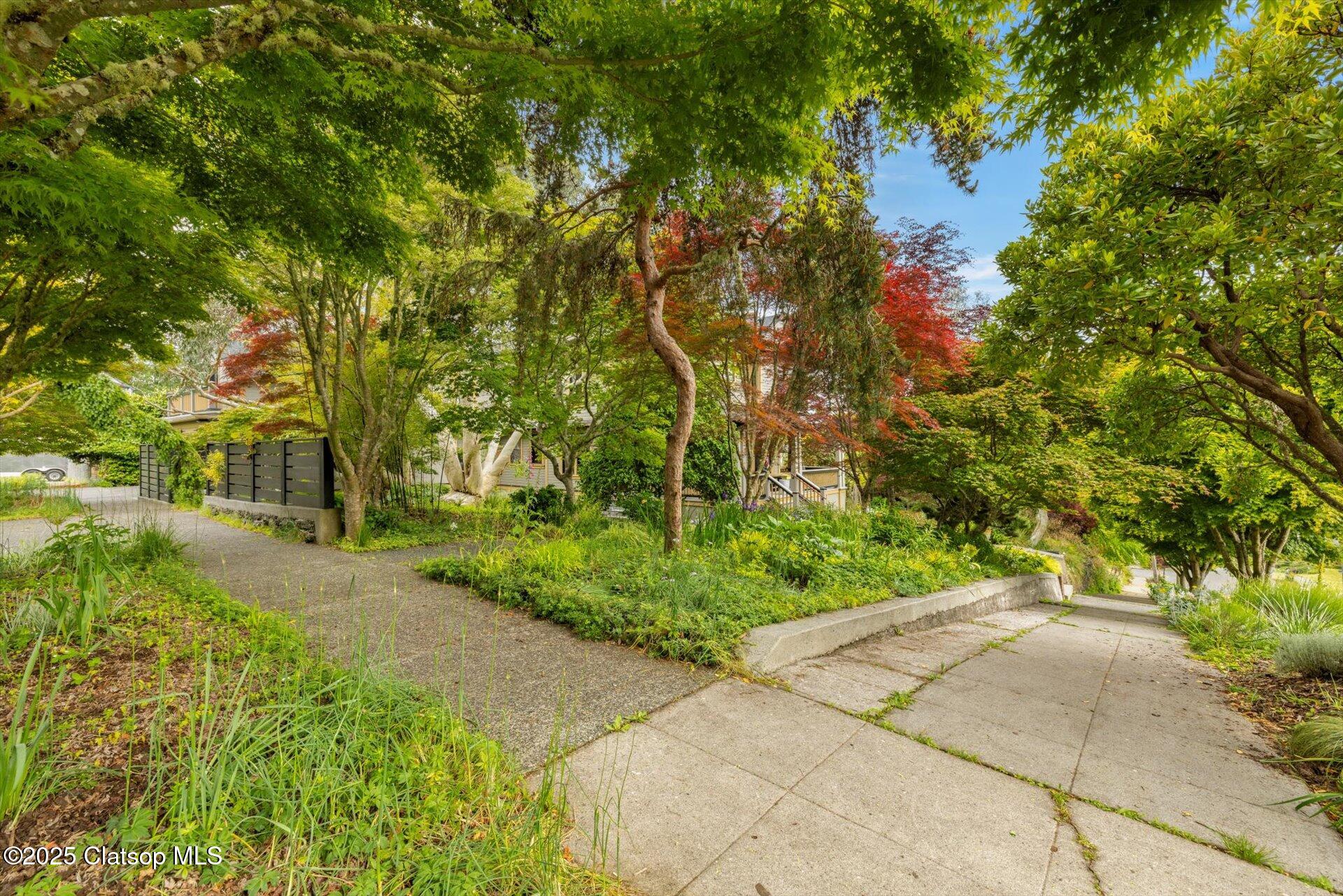 1175 11th Street Property Photo 81
