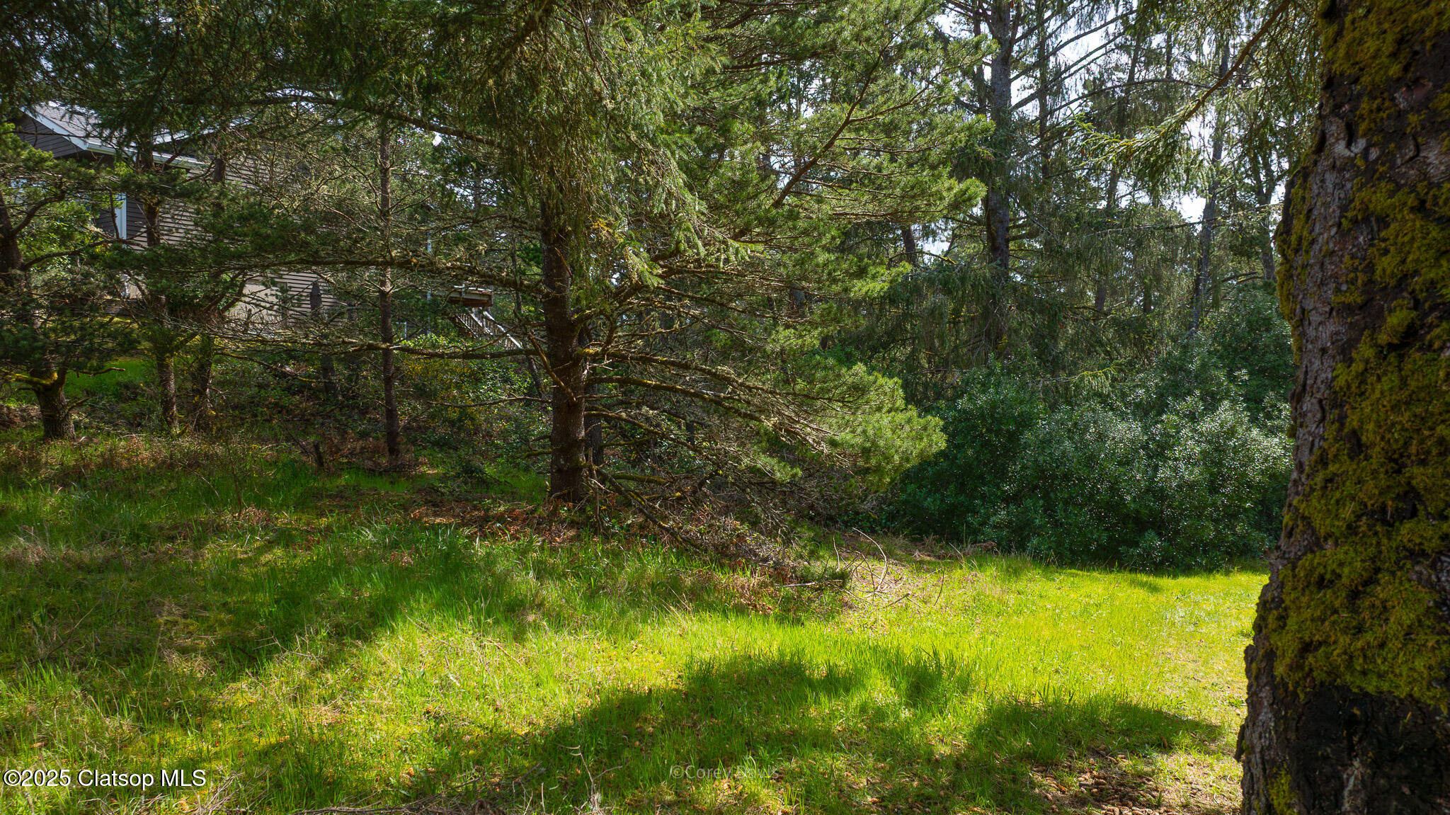 Vl Upland Drive Property Photo 11