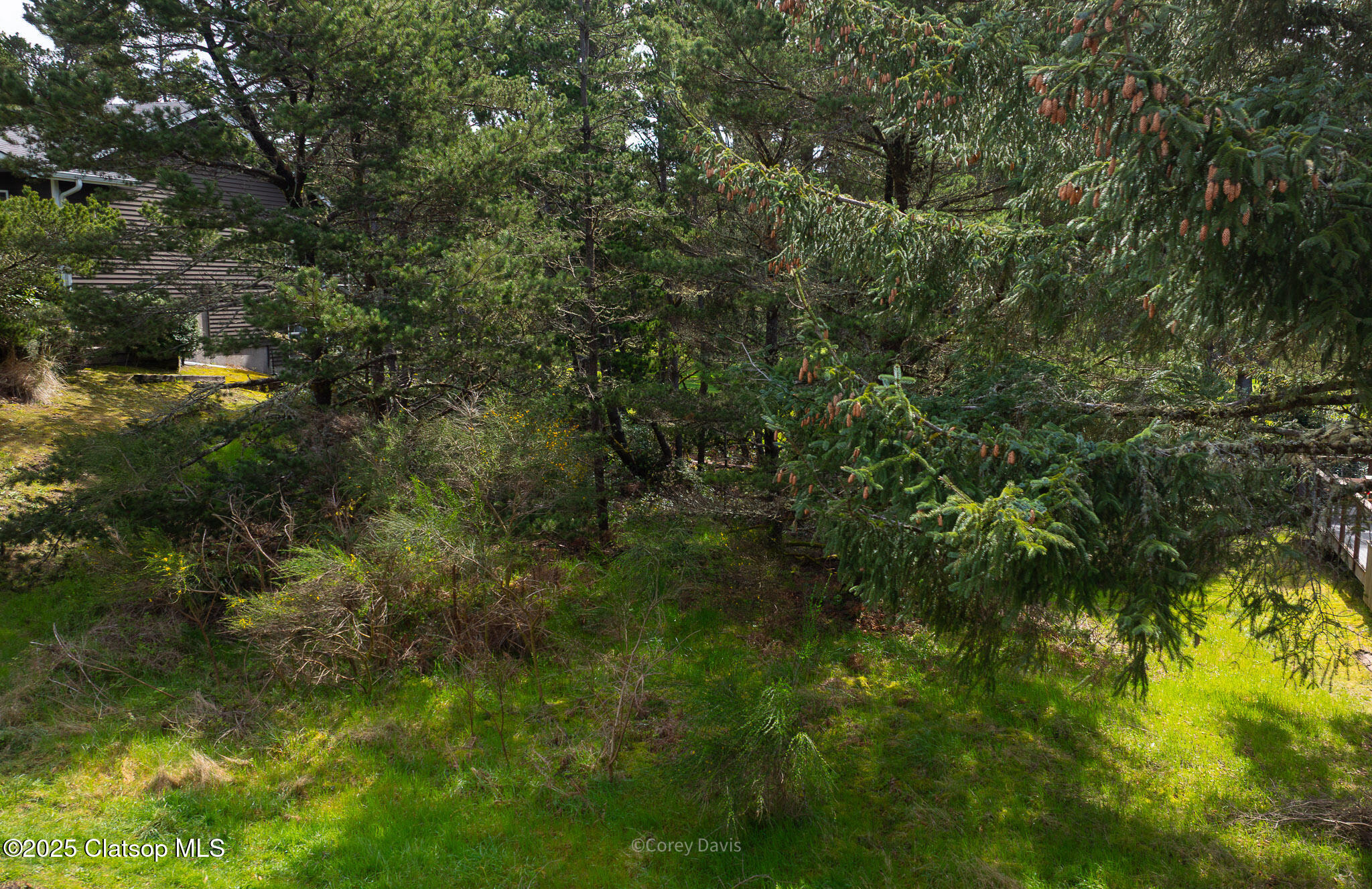 Vl Upland Drive Property Photo 12