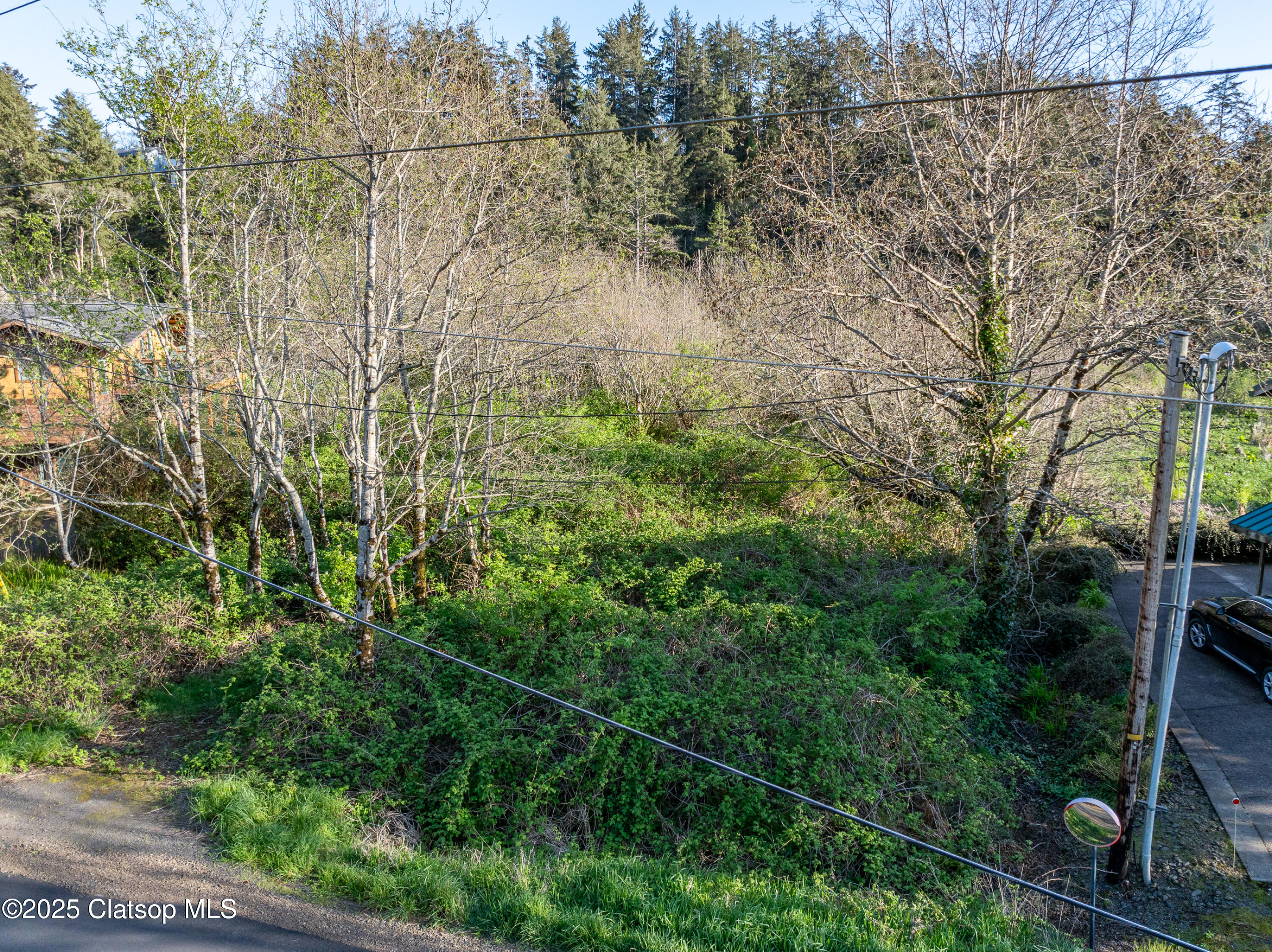 Nehalem Rd. Tax Lot 08808 Property Photo 4