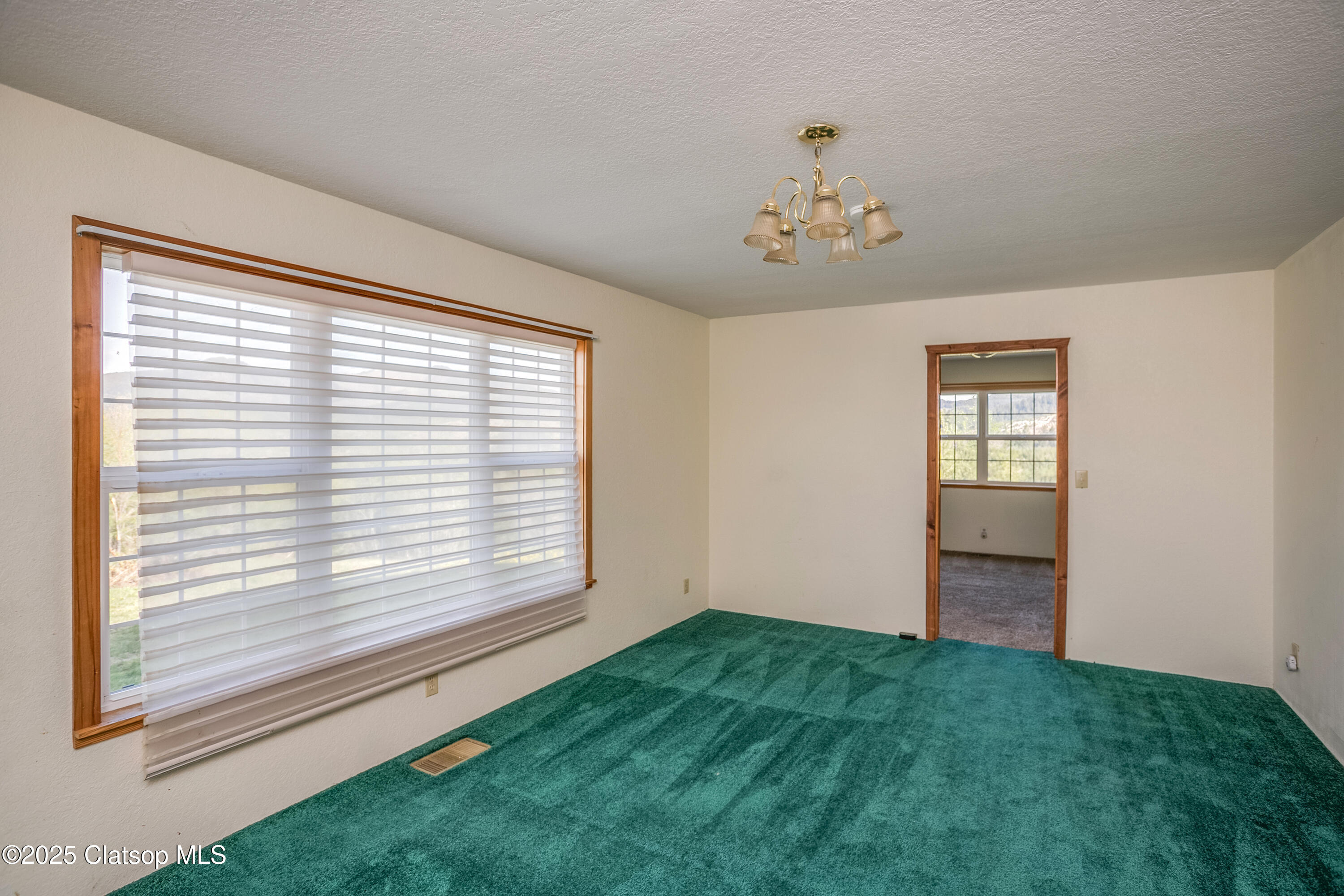 37555 Hauger Mtn Lane Property Photo 18