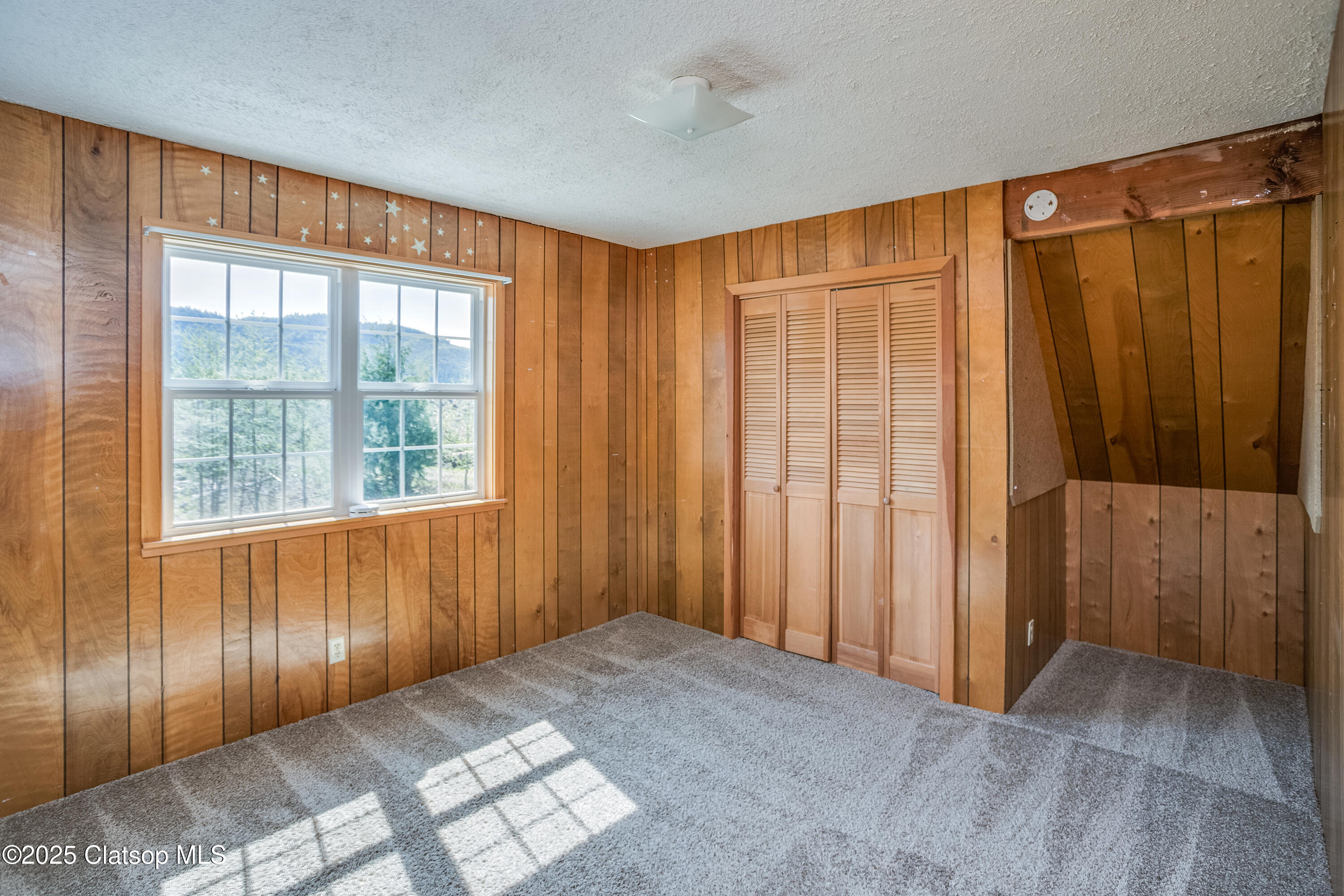 37555 Hauger Mtn Lane Property Photo 22