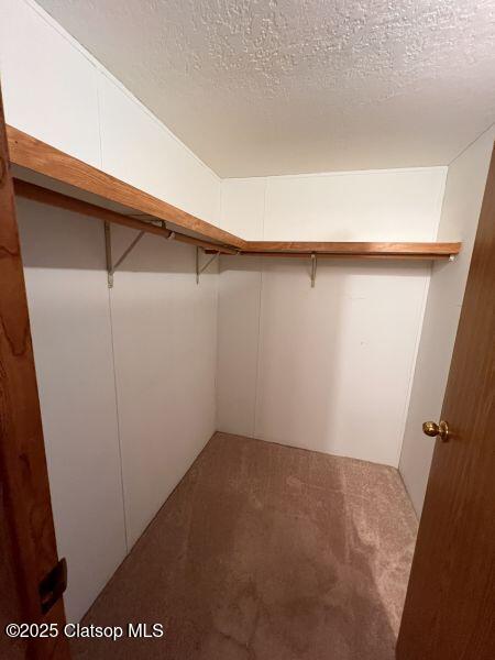 481 Hillside Loop Property Photo 44