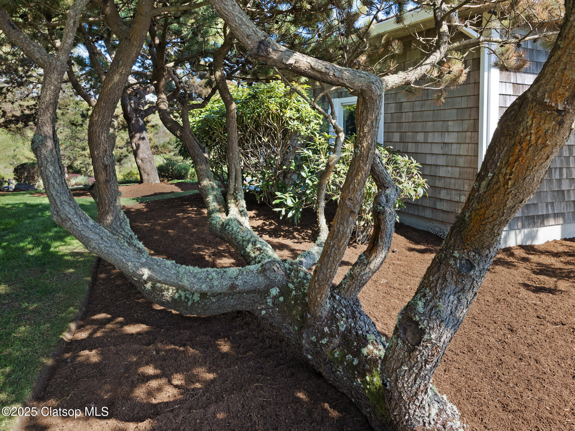 89185 Pinehurst Road Property Photo 52