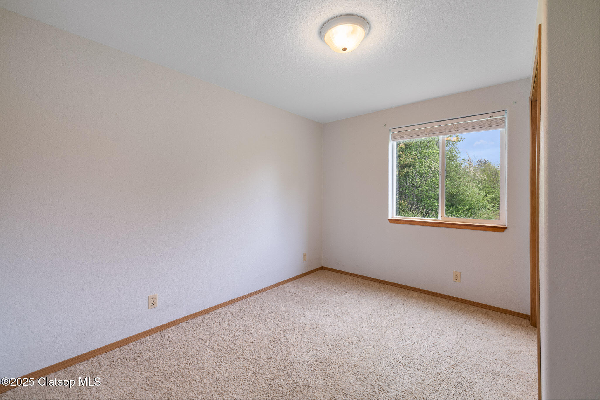 34085 Wood Duck Ave Property Photo 23