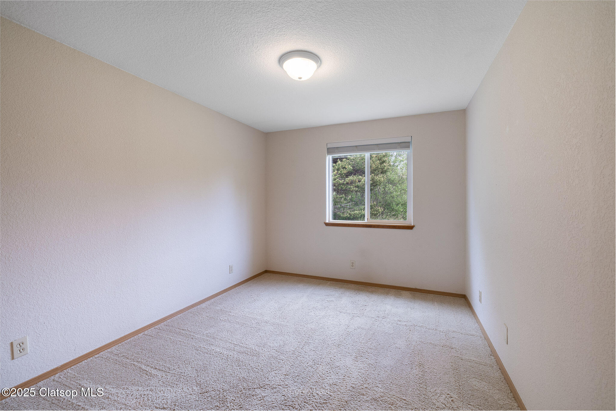 34085 Wood Duck Ave Property Photo 25
