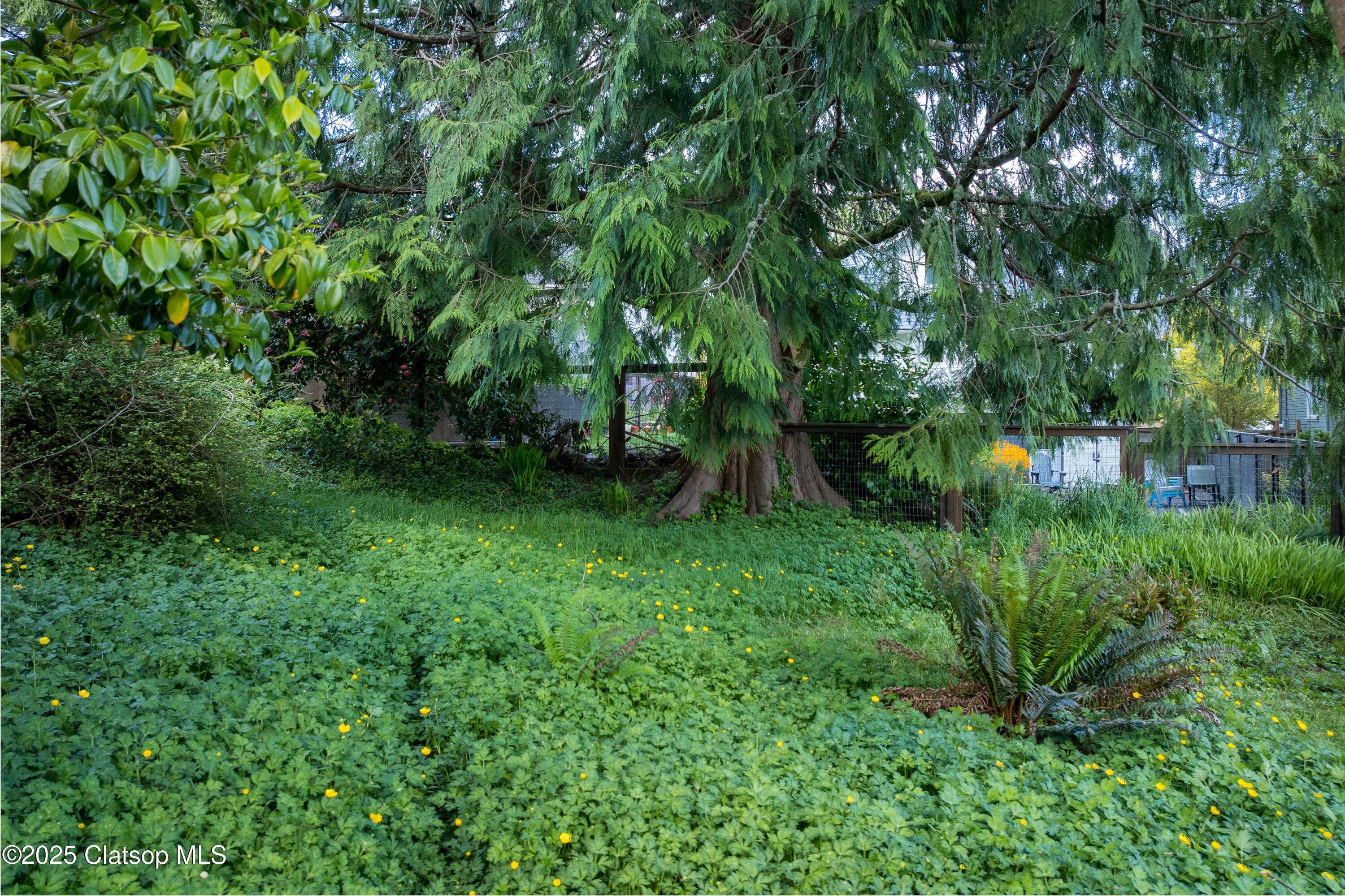 V/l 1476 8th Street Property Photo 8