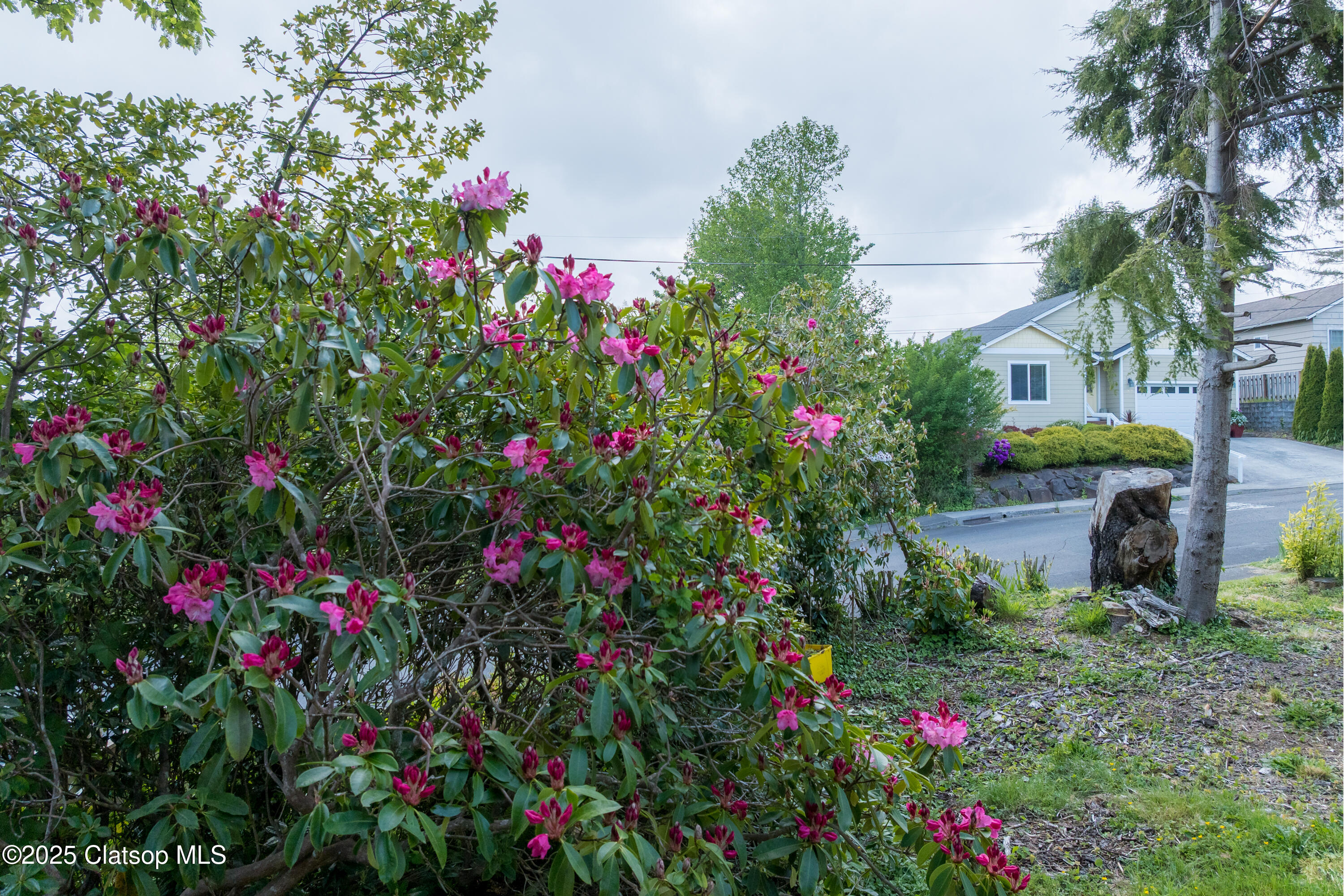 V/l 1476 8th Street Property Photo 9