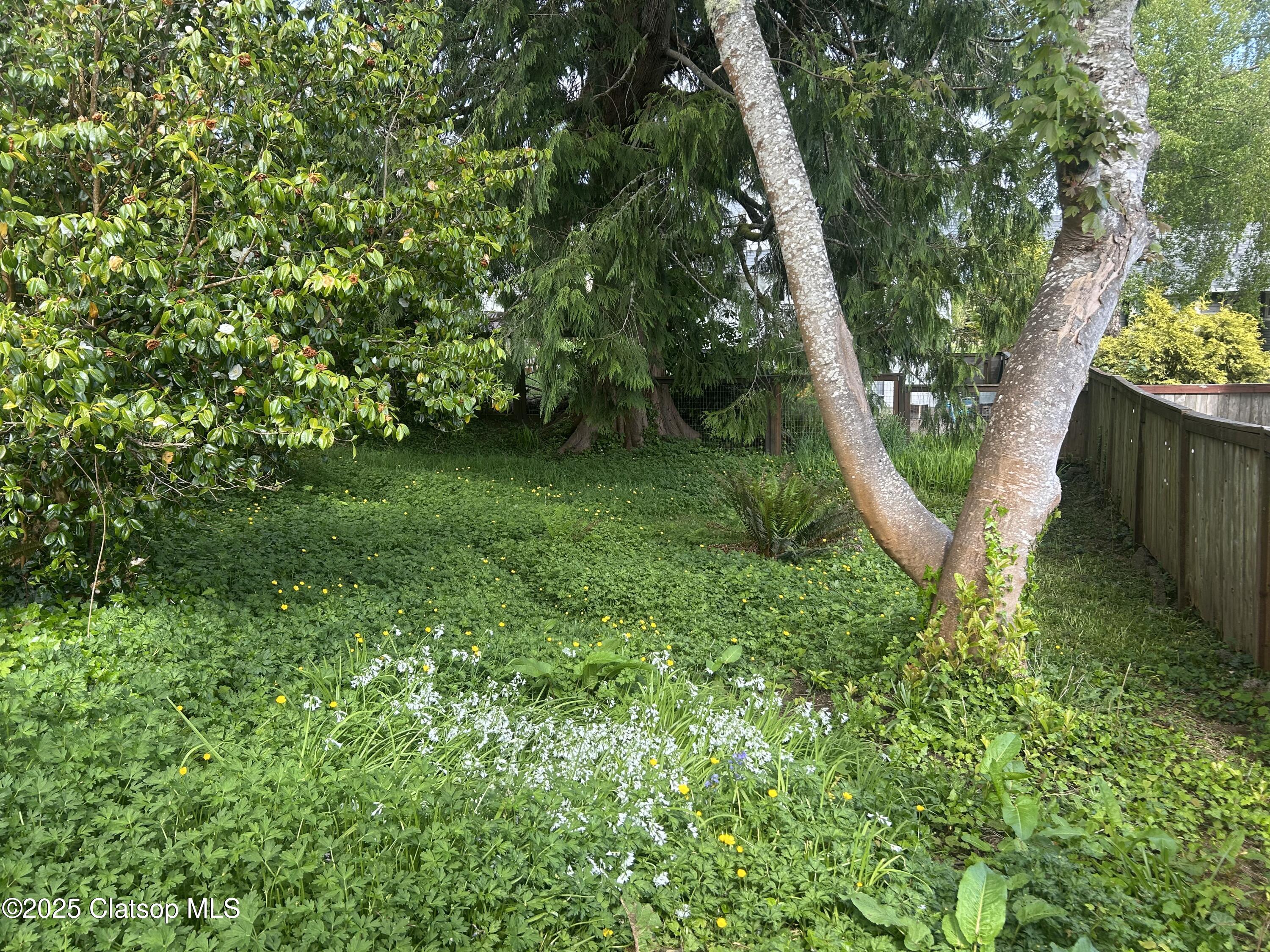 V/l 1476 8th Street Property Photo 11