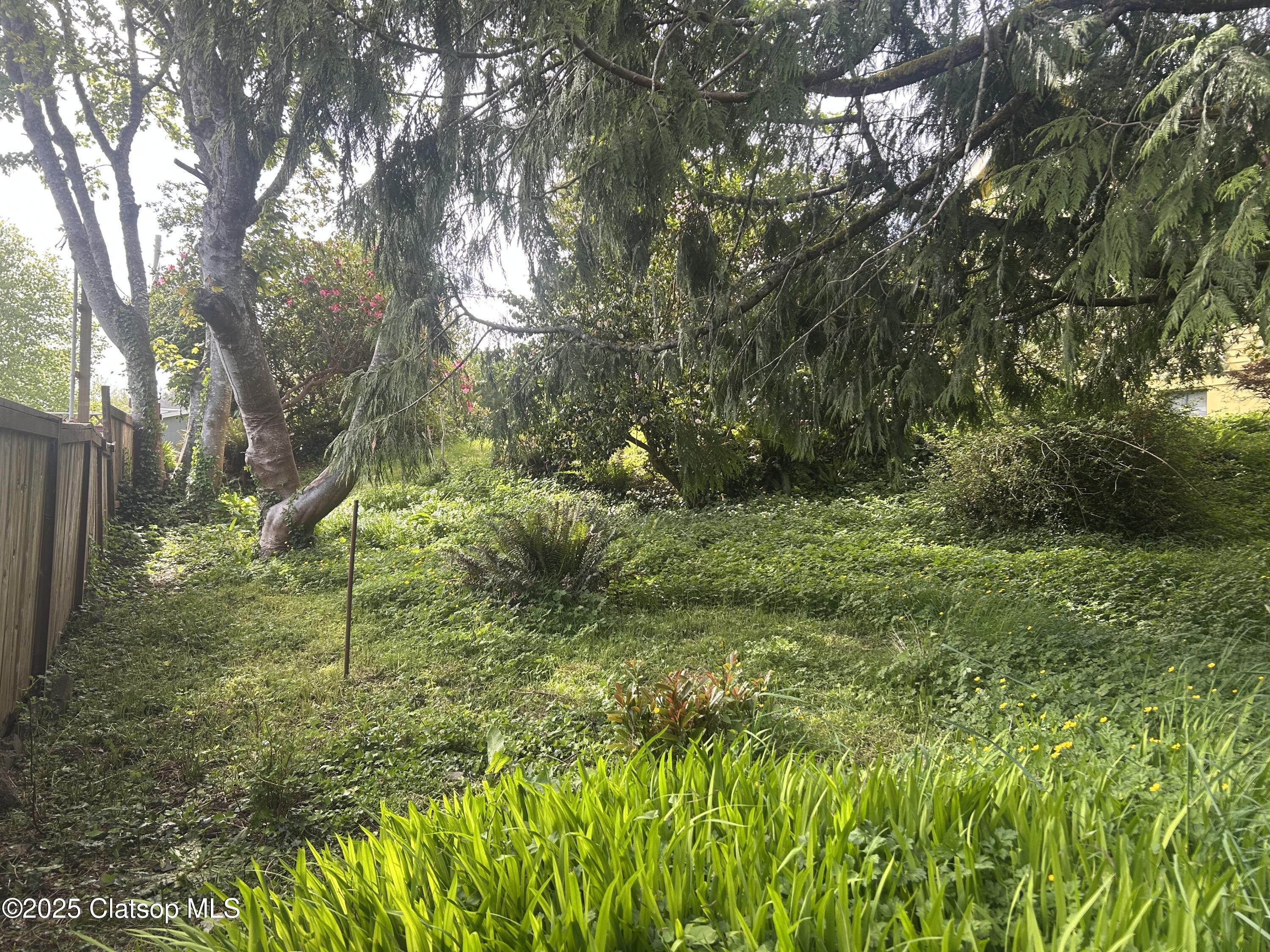 V/l 1476 8th Street Property Photo 12