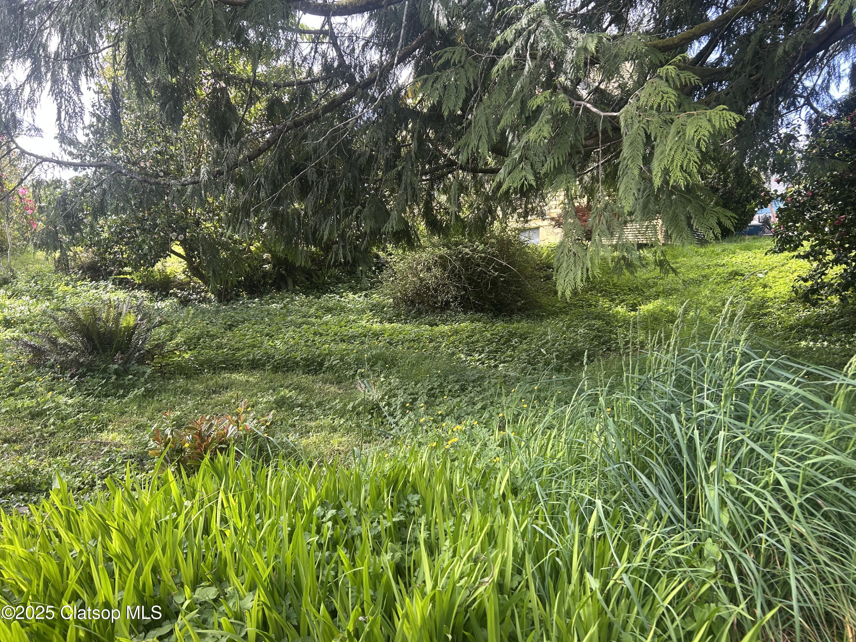 V/l 1476 8th Street Property Photo 13
