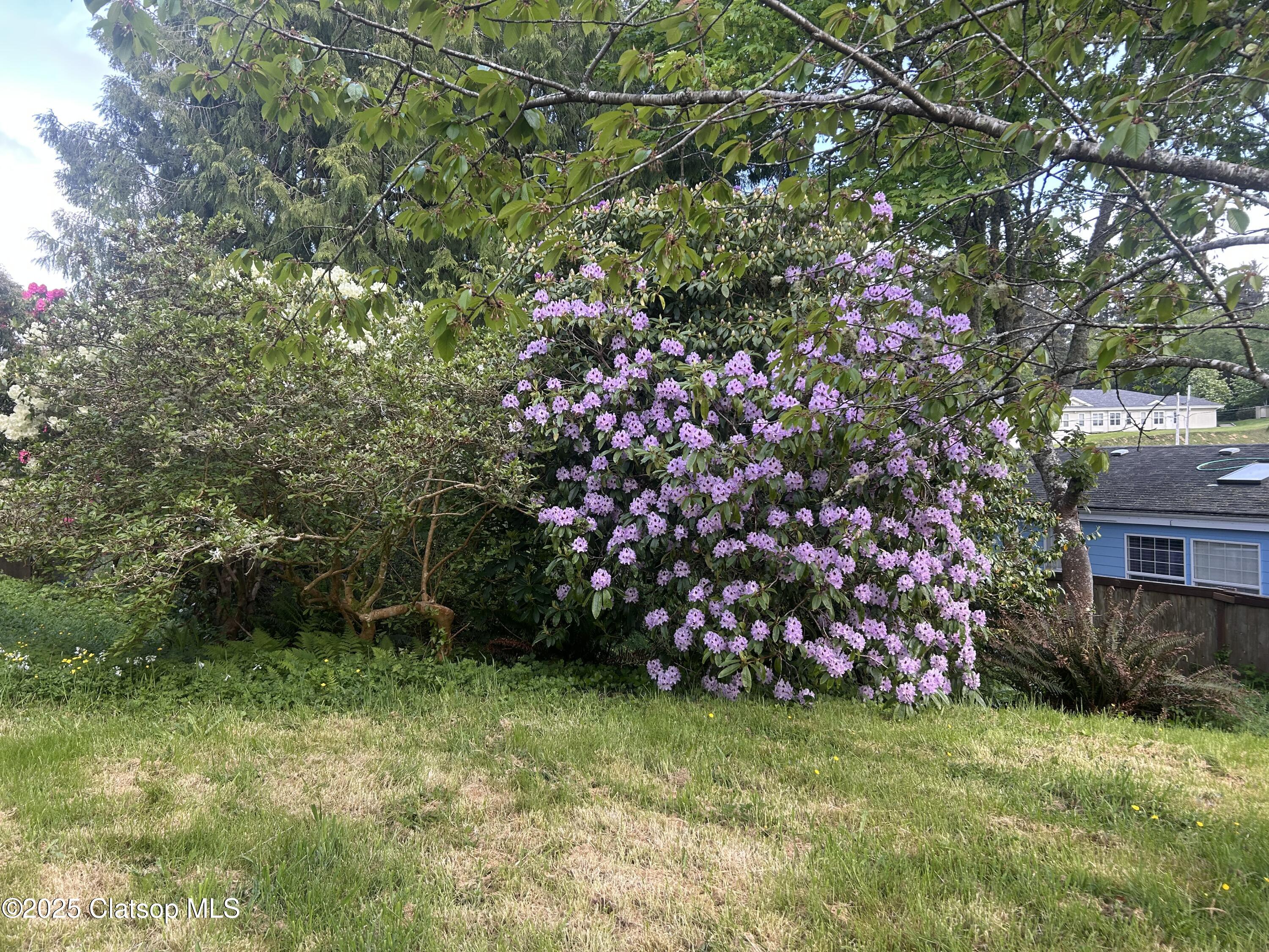 V/l 1476 8th Street Property Photo 15