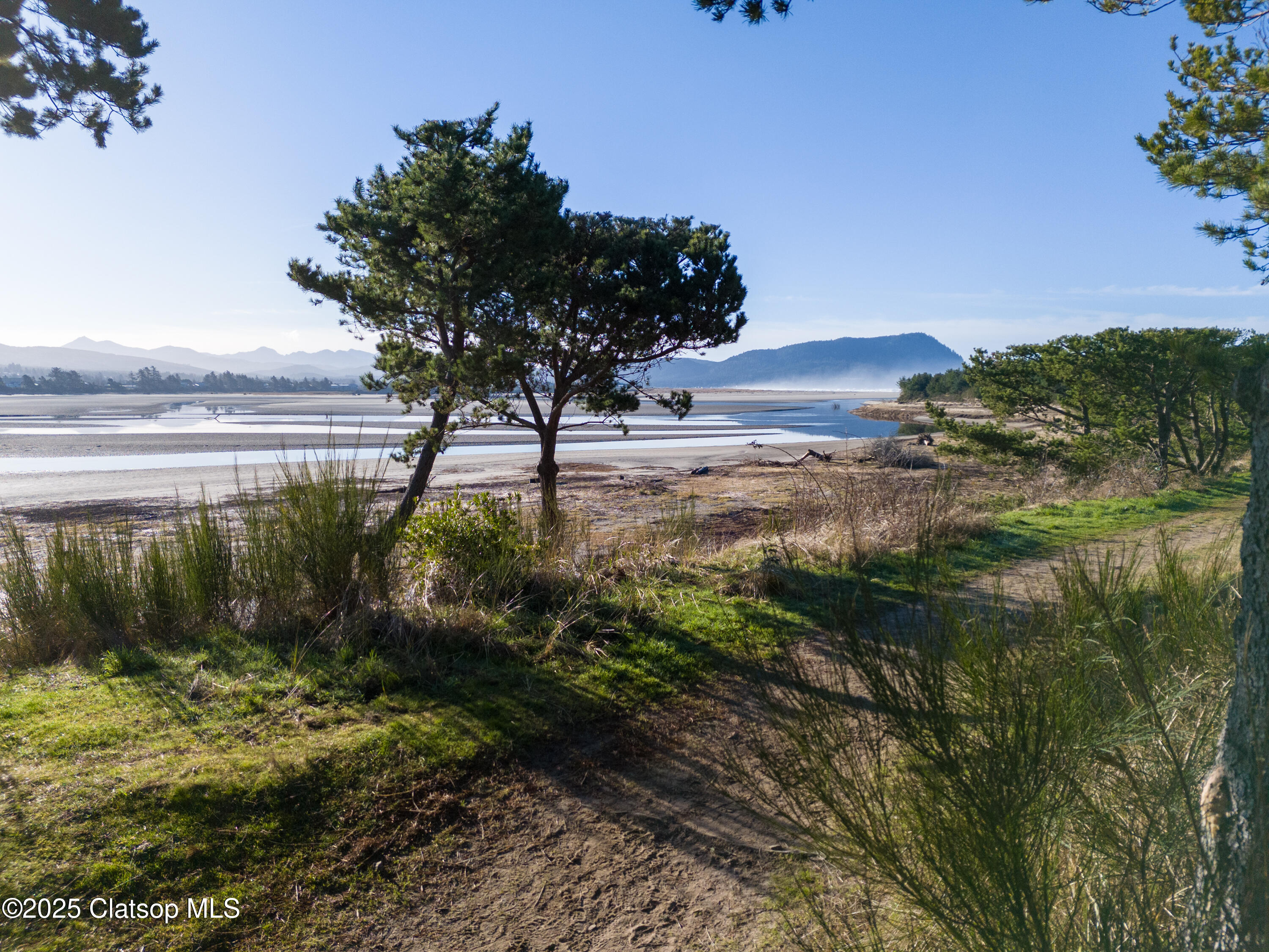 Wellington Avenue Property Photo 5