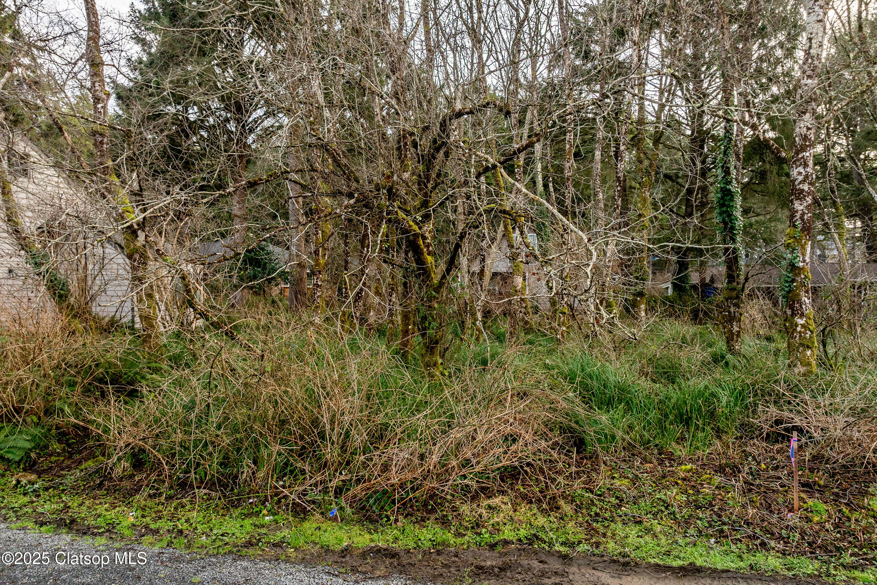 Elliott Way Property Photo 10