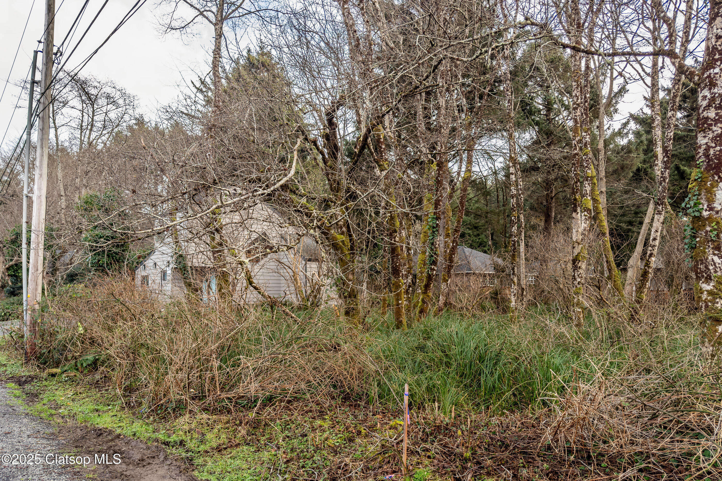 Elliott Way Property Photo 11