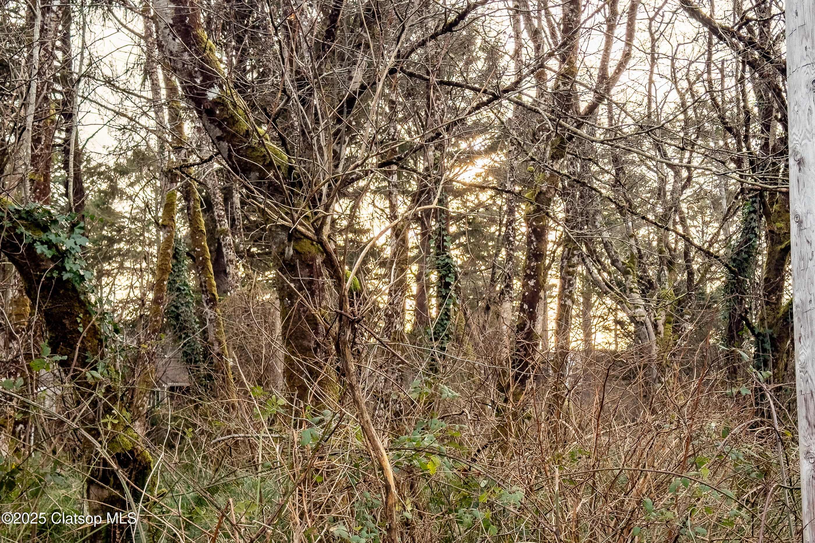 Elliott Way Property Photo 13