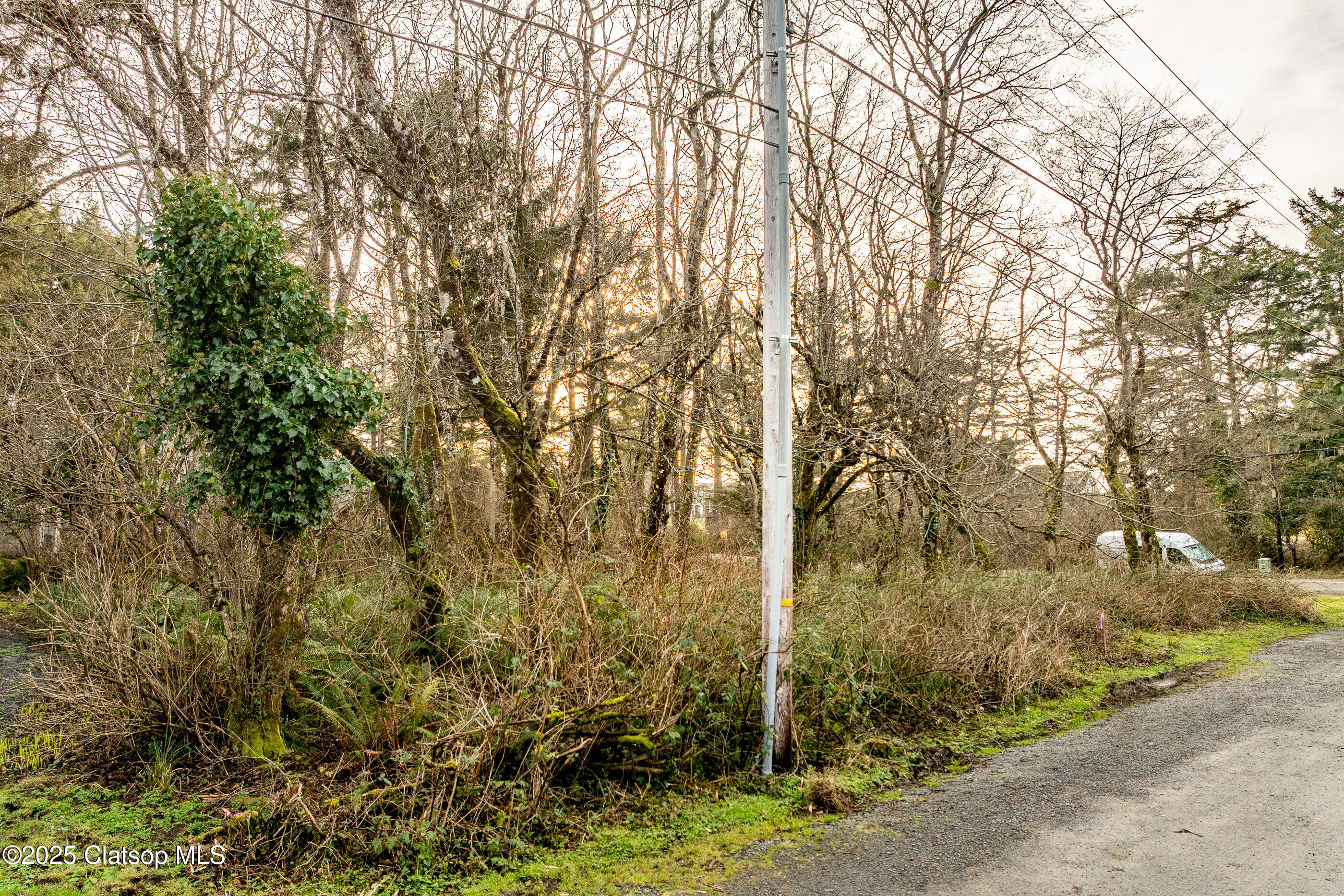 Elliott Way Property Photo 15