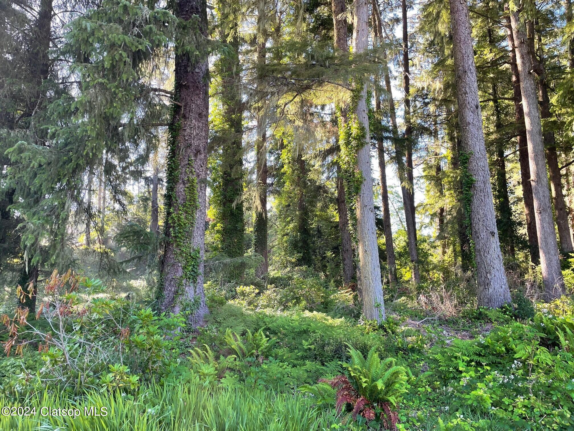 0 5th Street Property Photo 4