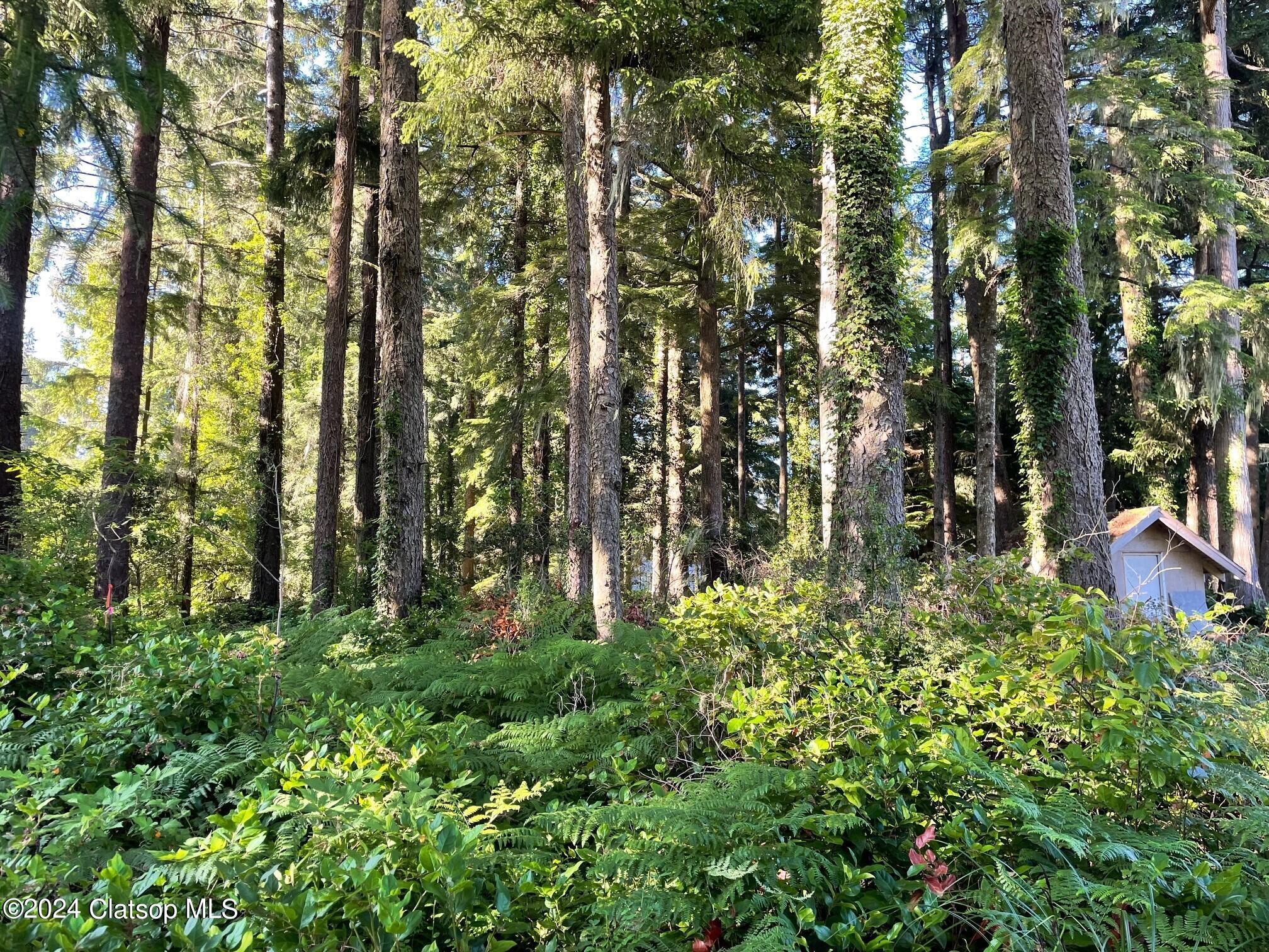 0 5th Street Property Photo 5