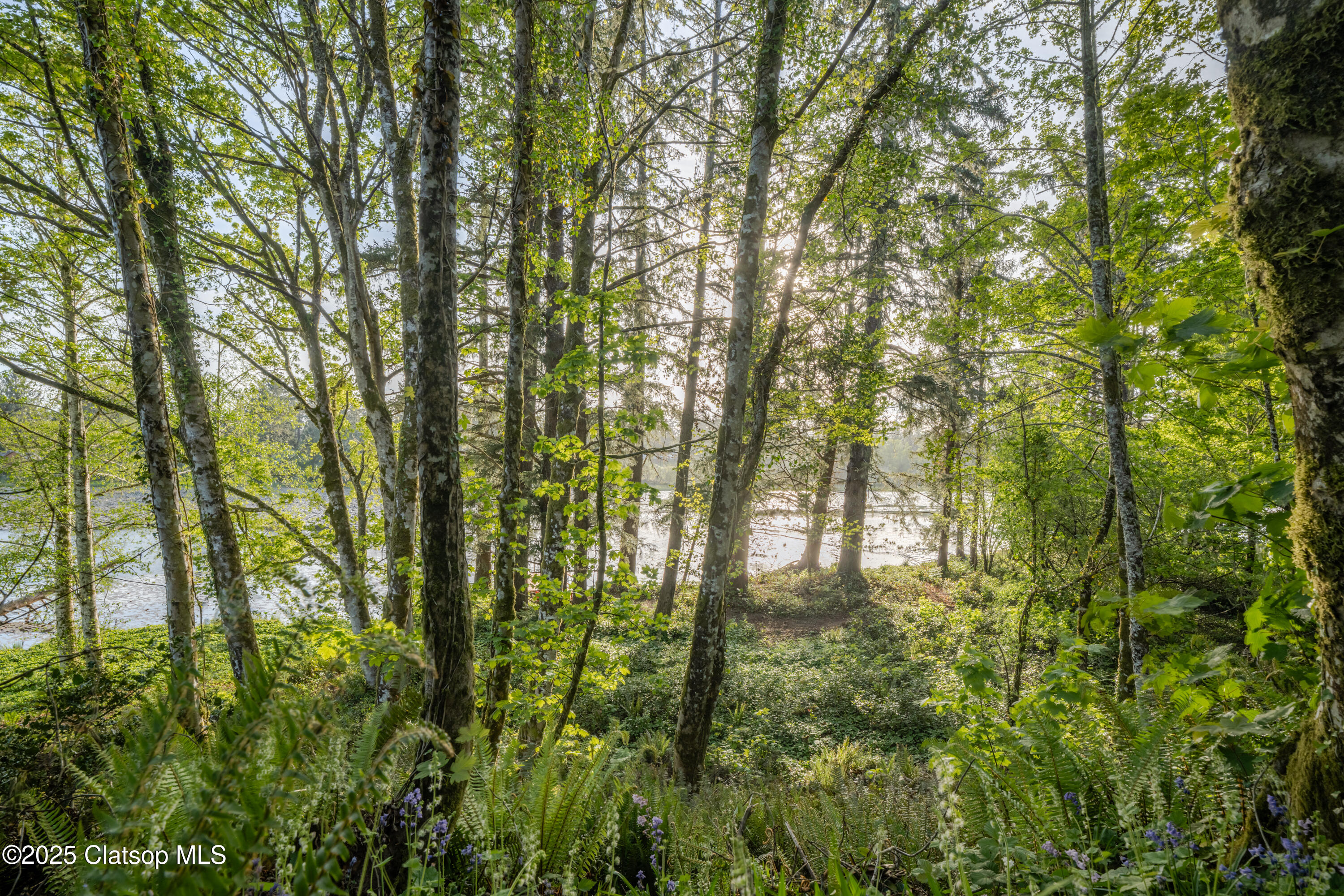 92216 Whiskey Road Property Photo 102