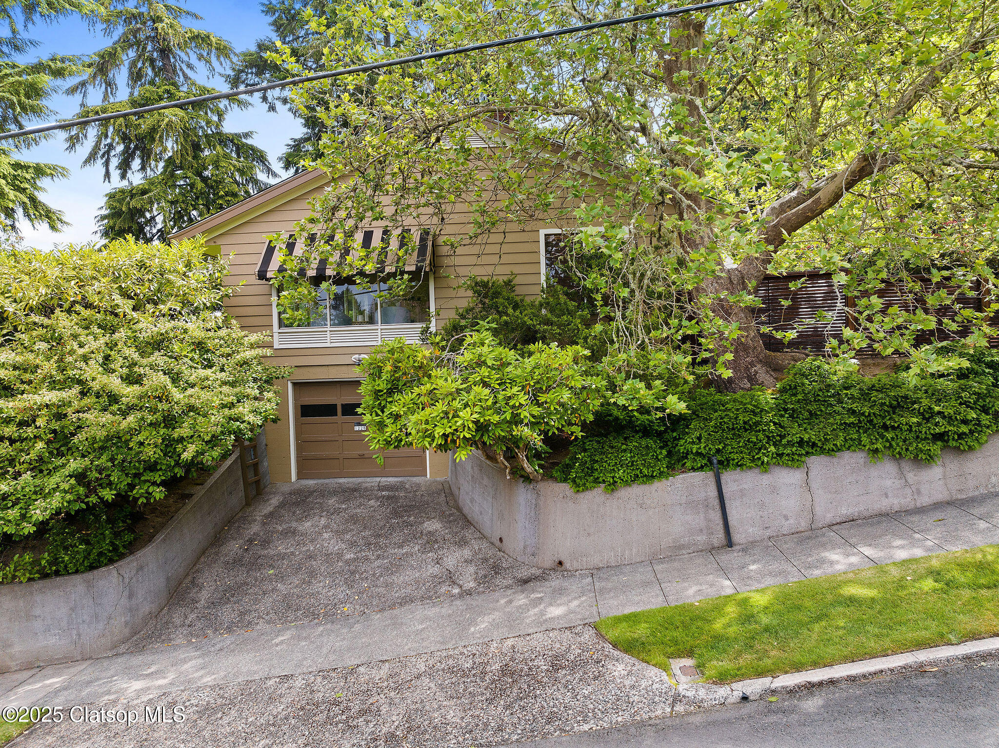 1228 11th Street Property Photo 33